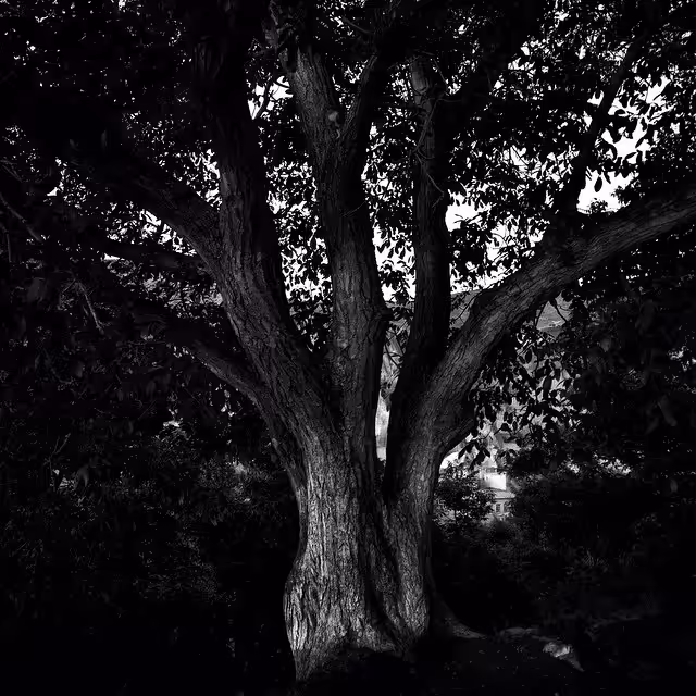 Spirits of the Dead
