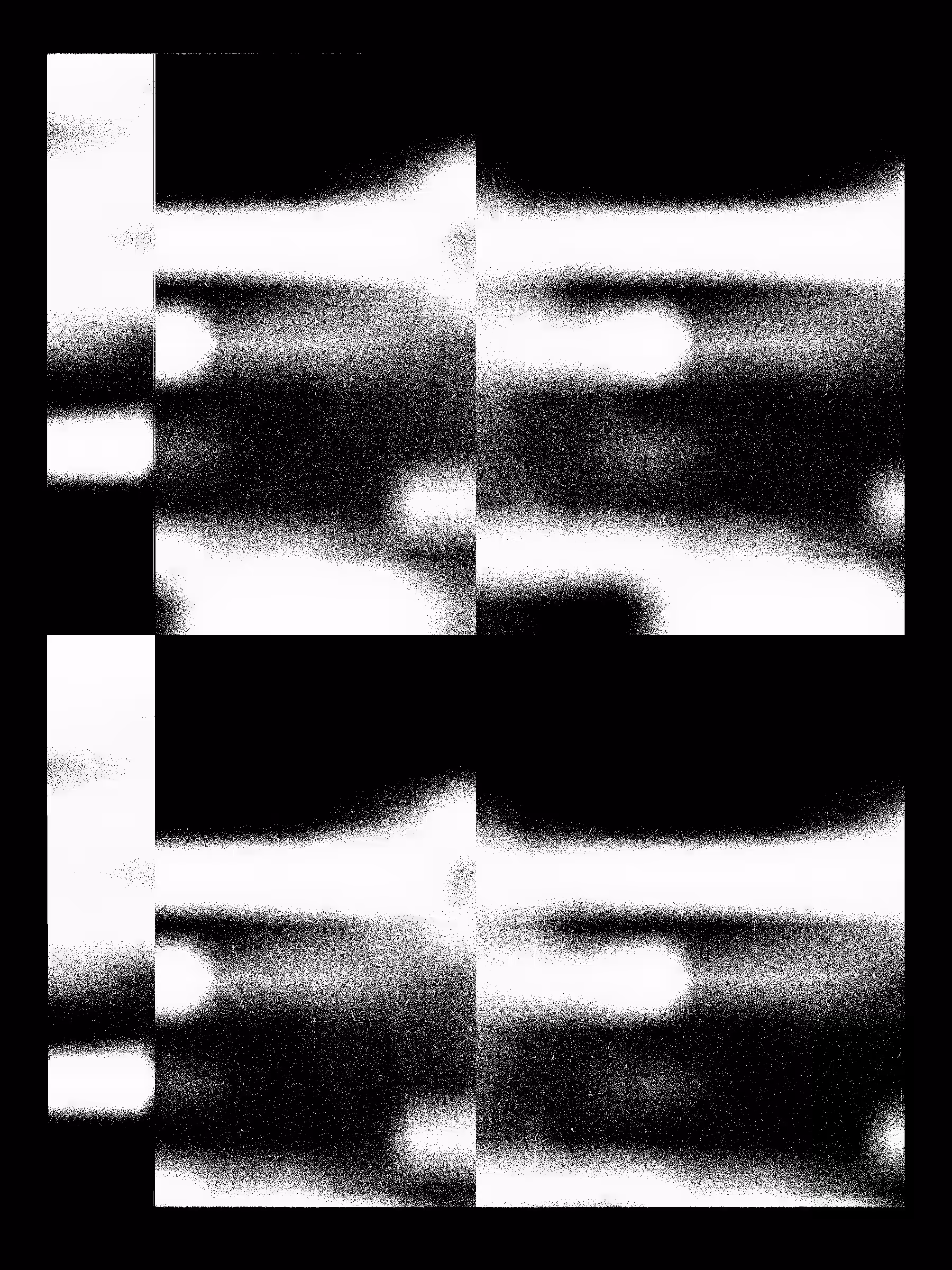 Echo, No Resonance #186