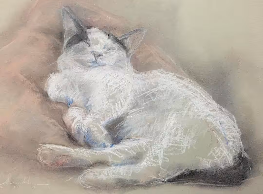 CATS.: Bella.