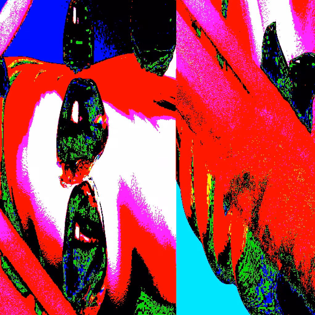 𝐌𝐢𝐜𝐫𝐨𝐨𝐫𝐠𝐚𝐧𝐢𝐜 𝐅𝐢𝐬𝐬𝐢𝐨𝐧