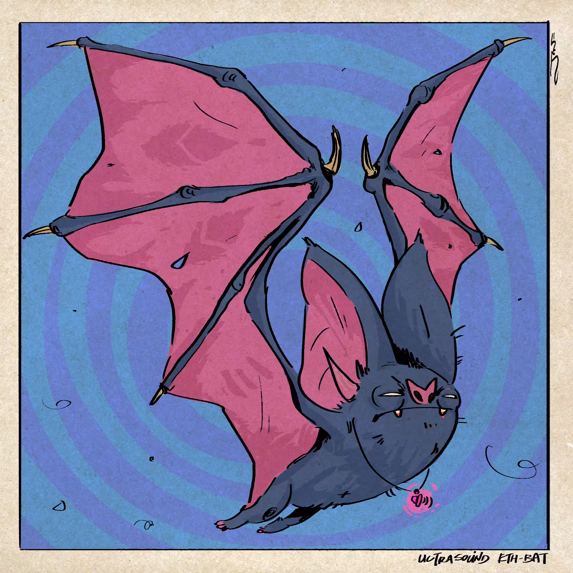 Ultrasound ETH Bat!