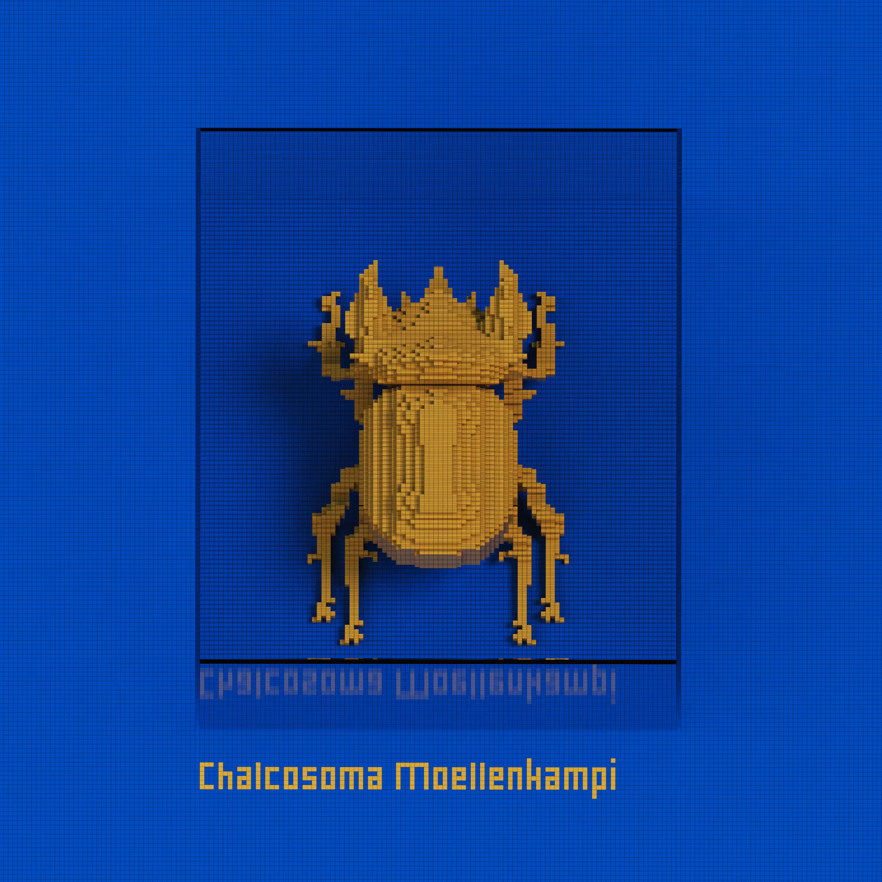 KINΞNTOMOLOGY 03 CHALCOSOMA MOELLENKAMPI 