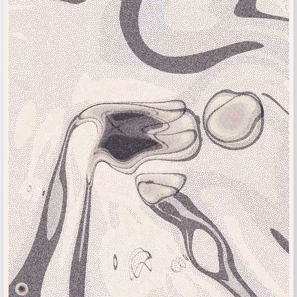 Caustics #197