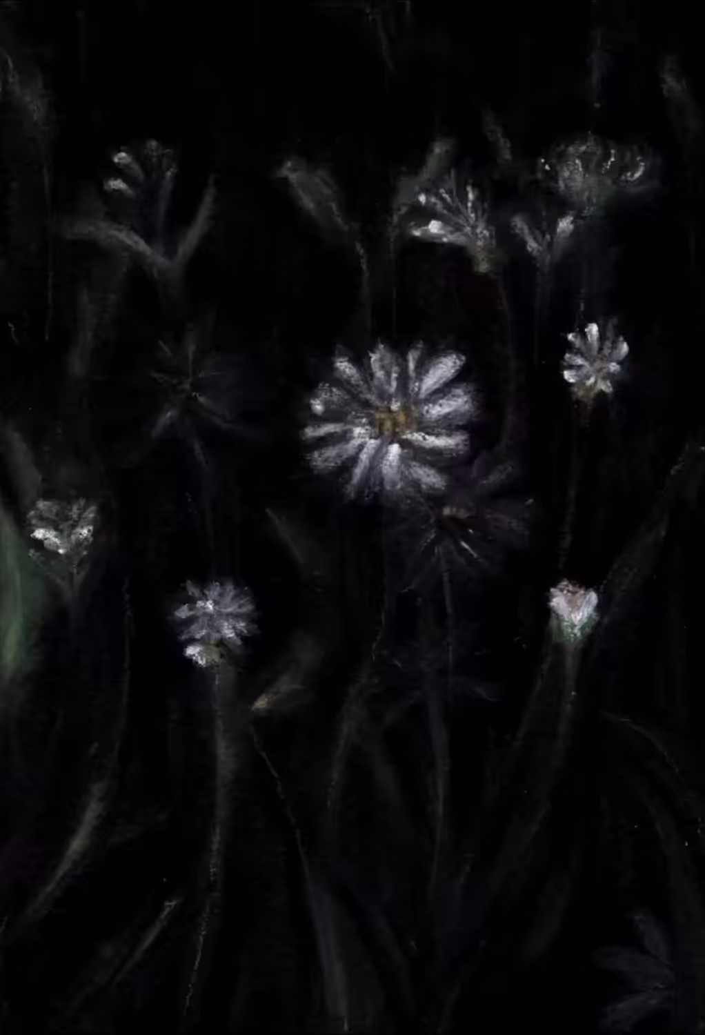 Enlightenment31