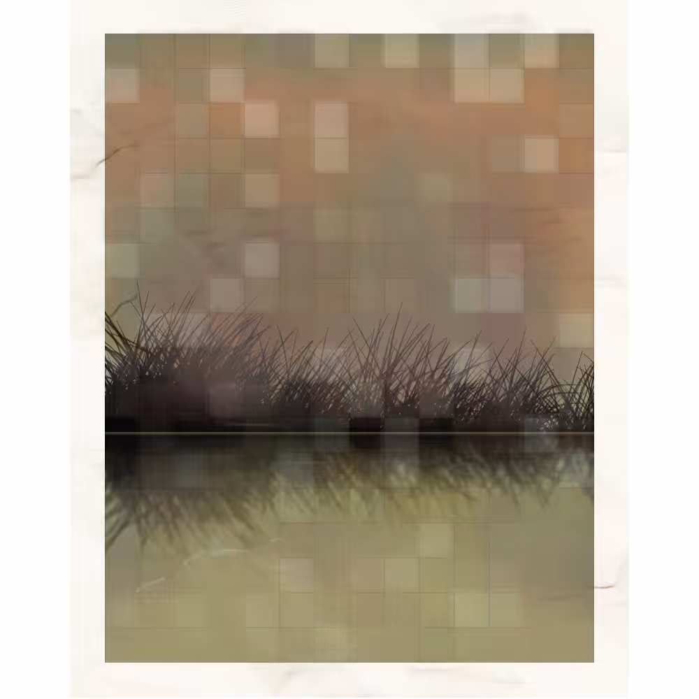 Self-reflection #26