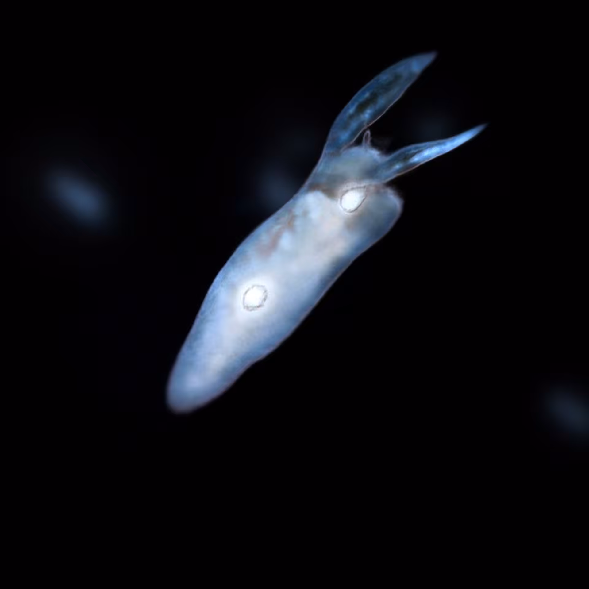 Sperma 03