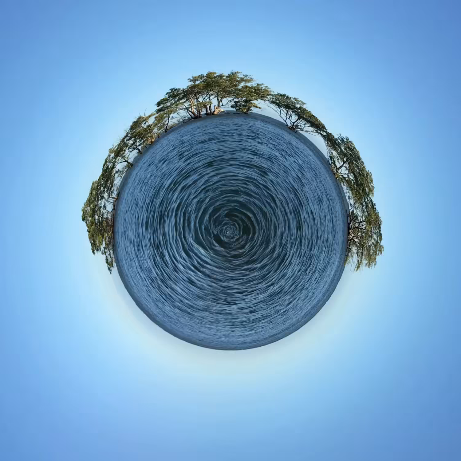 Mangrove Drop
