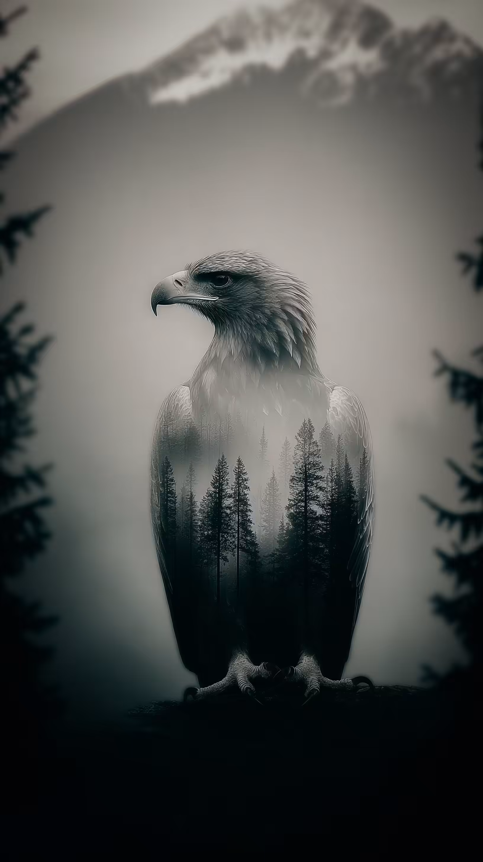 The Watcher Before Silence
