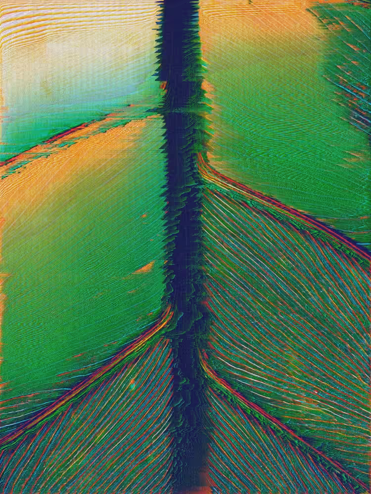 MACRO LENSED