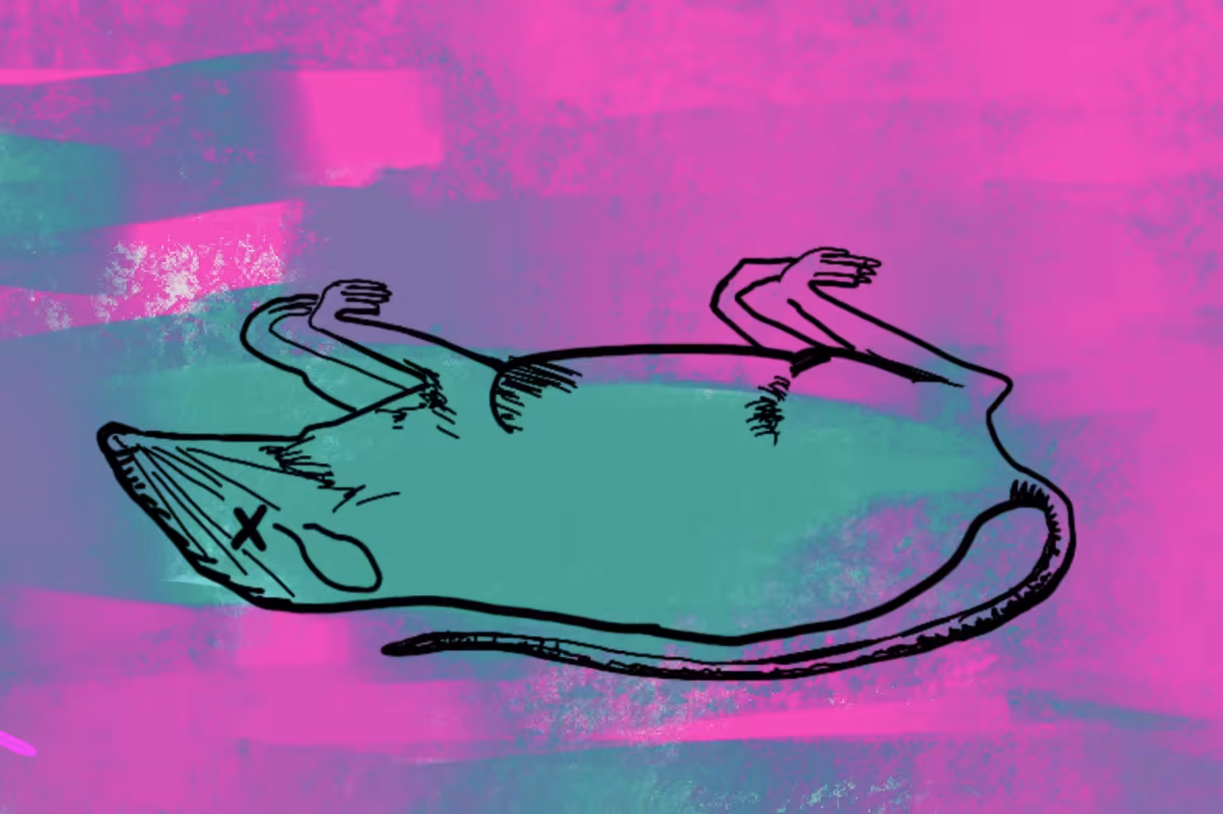 DEAD RAT