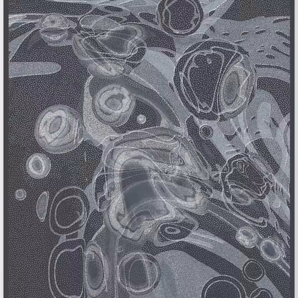 Caustics #217