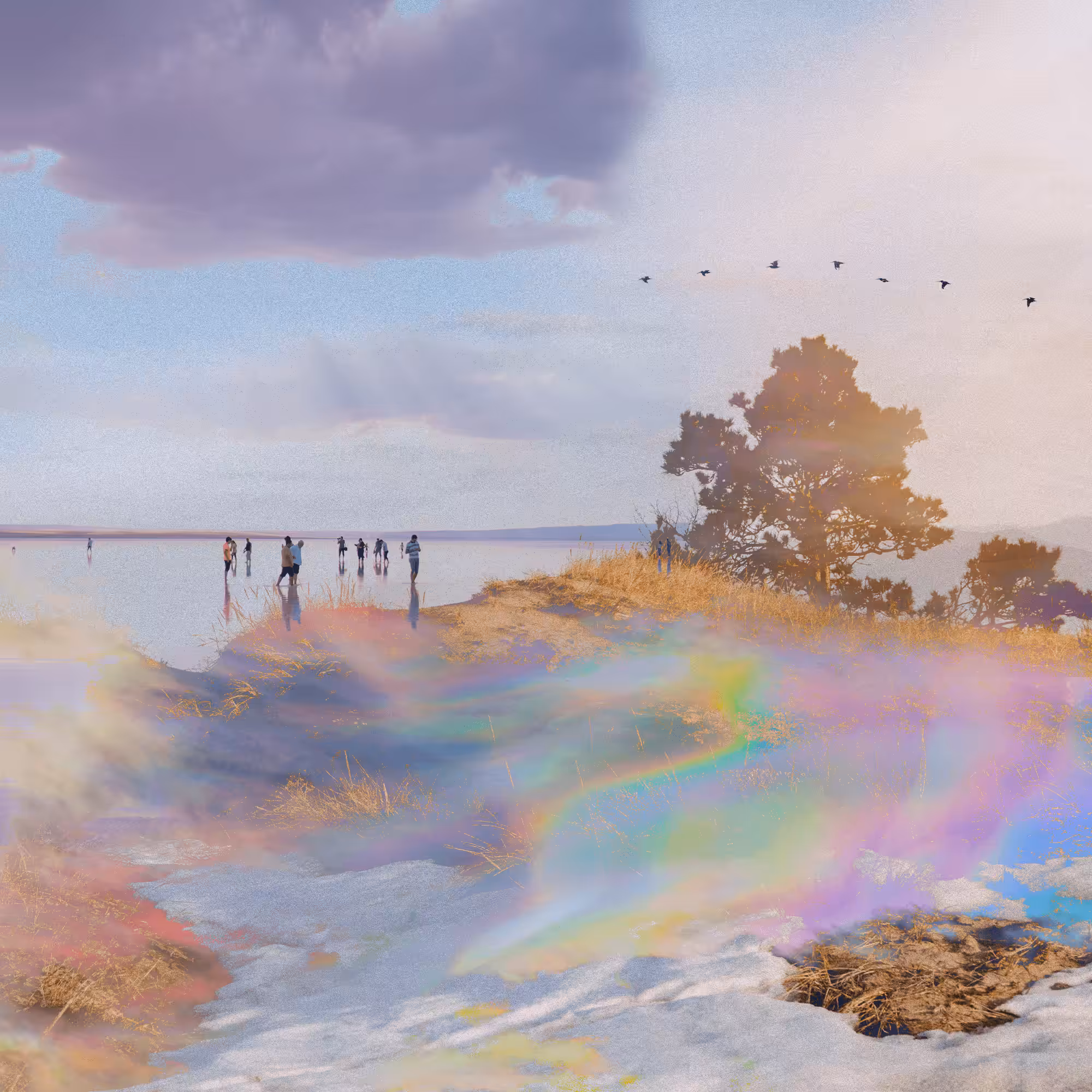 Sky Island