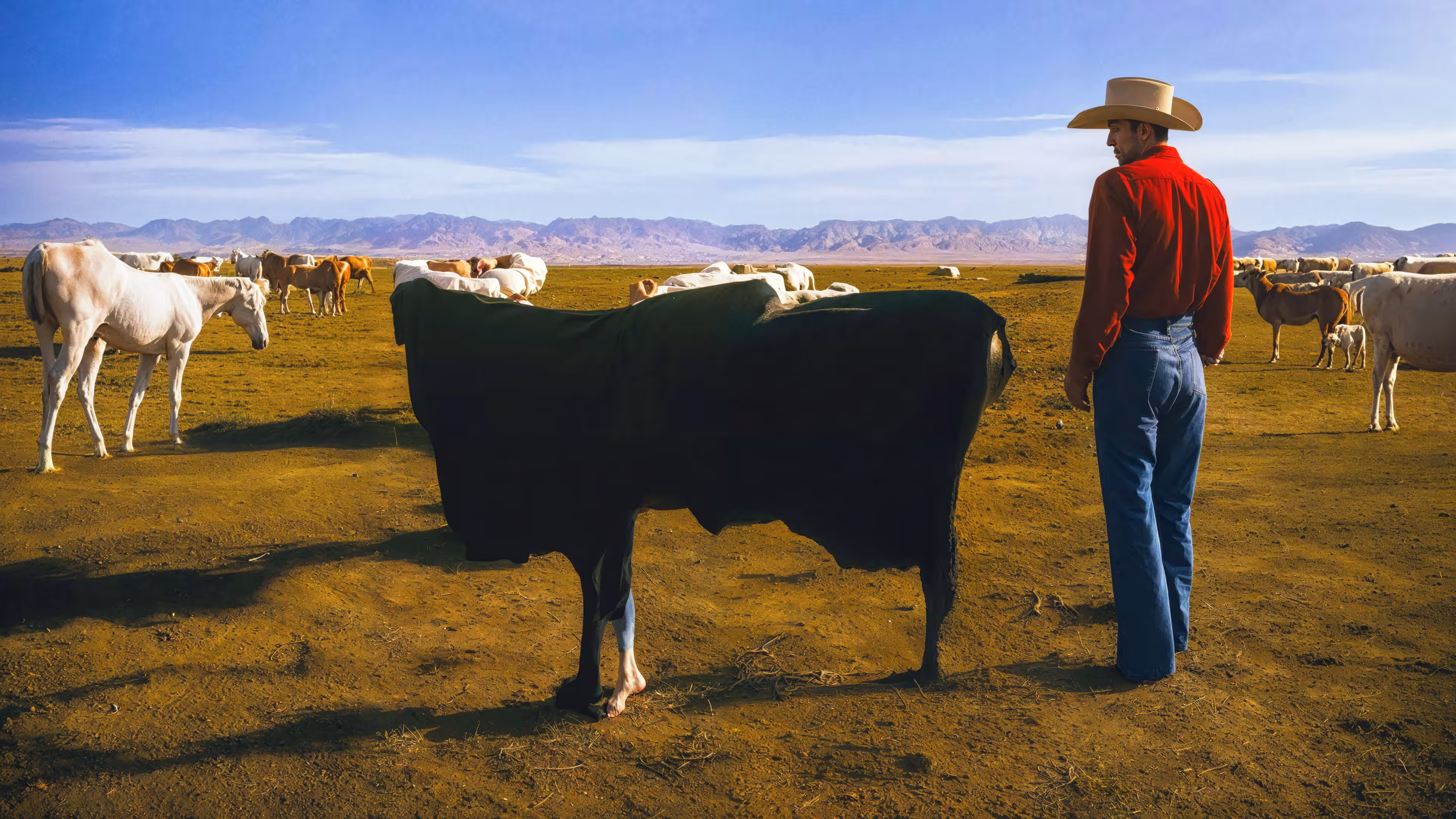 Certified Hereford Beef