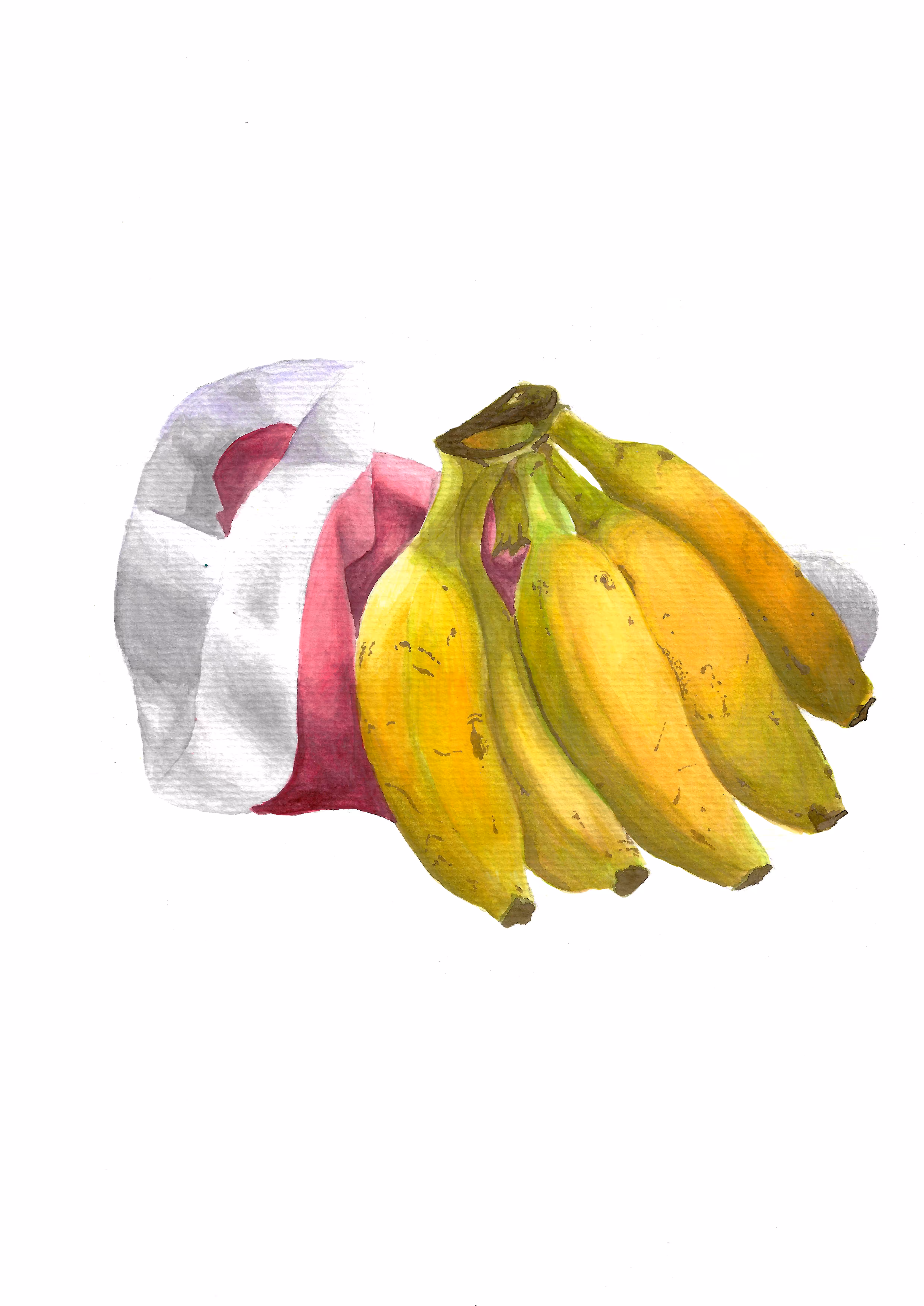 "Santa's bananas"