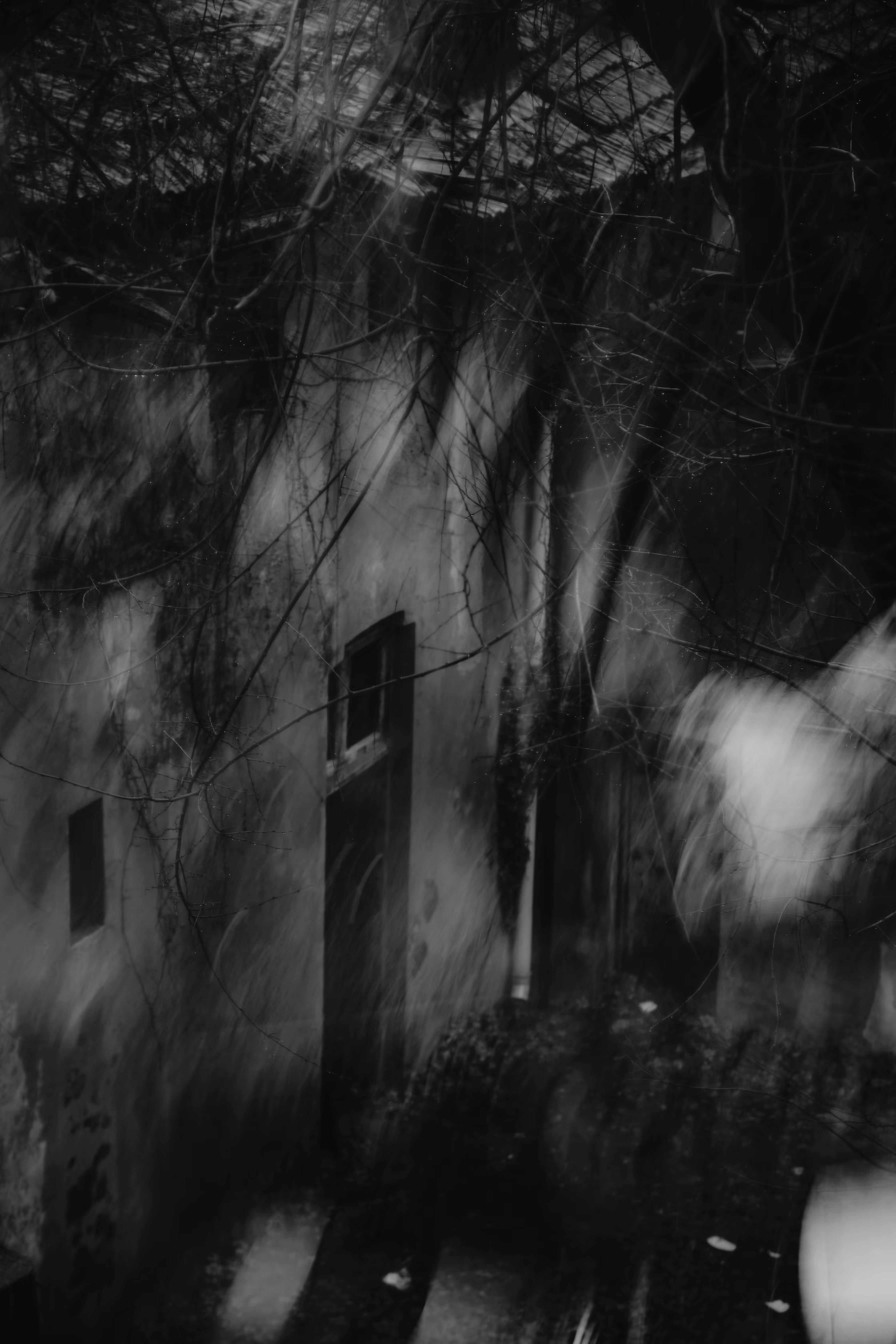 Reverie