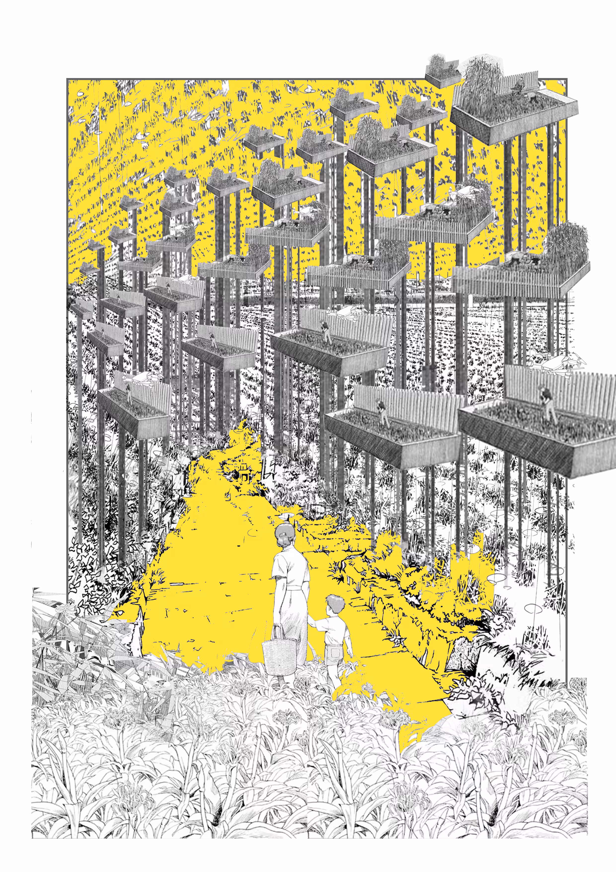 The Promised (yellow)Land