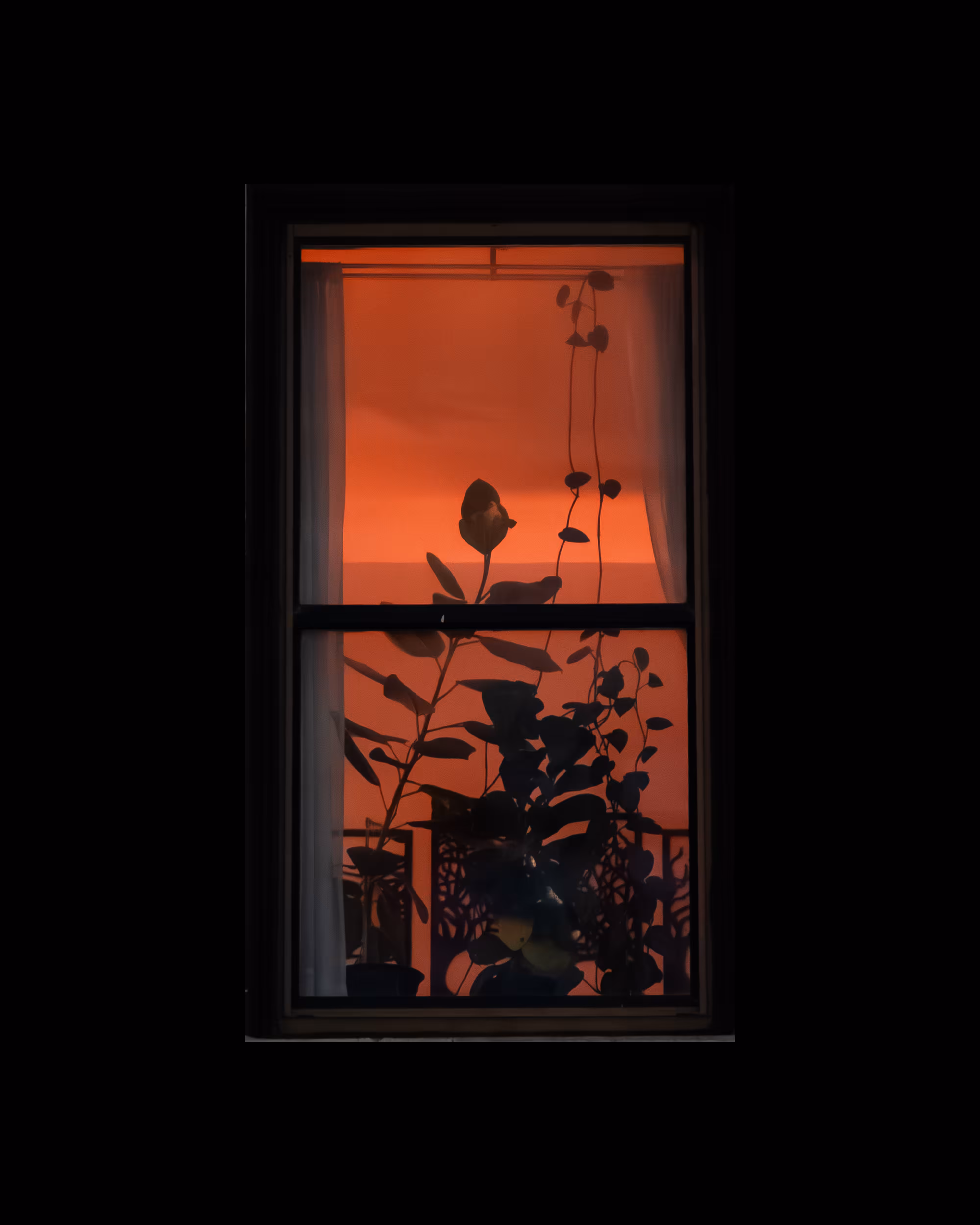 WINDOW 437
