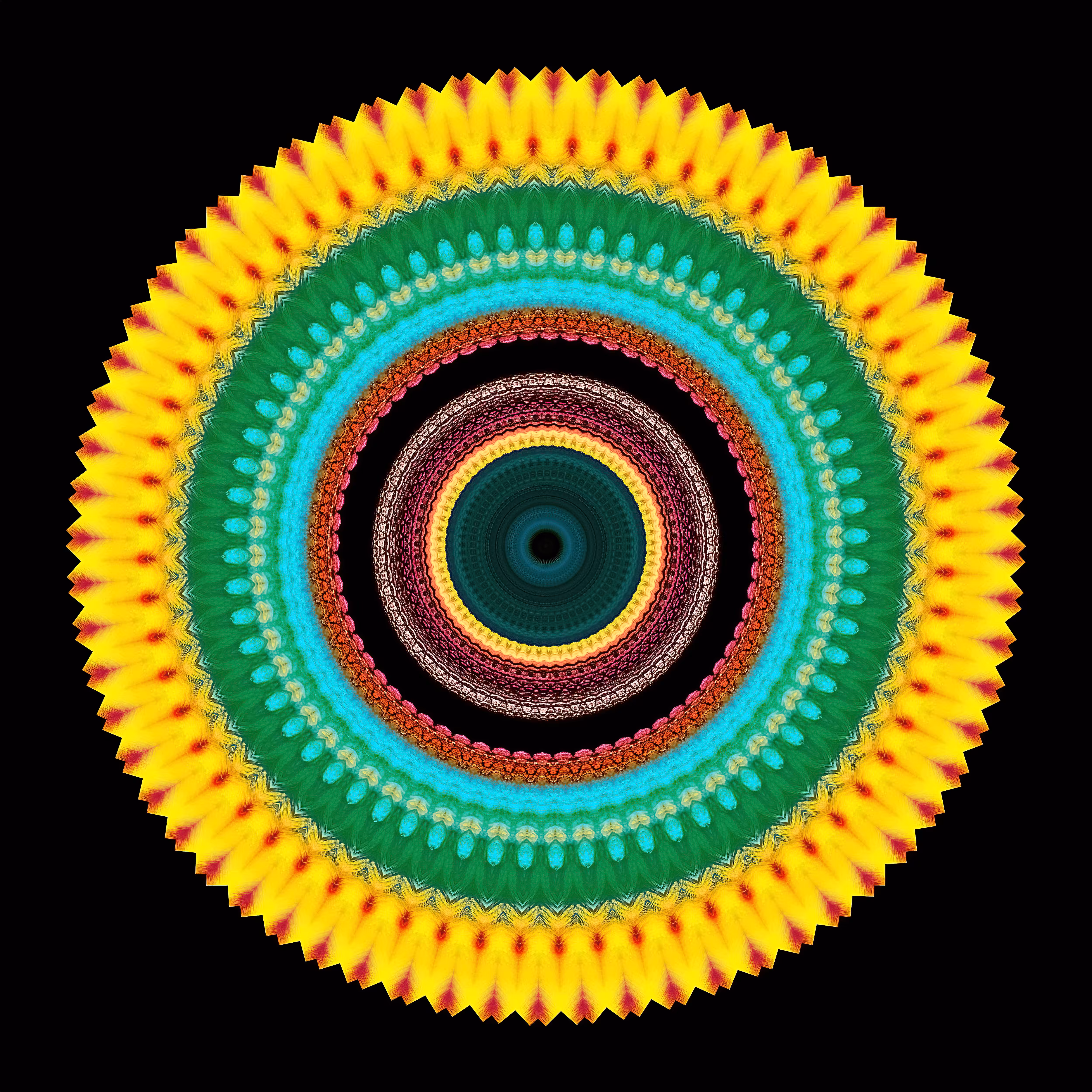Form Constant 008
