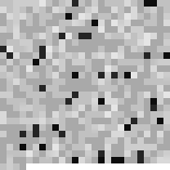 BIO-NFT_2-oxoacid acceptor oxidoreductase_ alpha subunit_474 P_acnes_HL001PA1_uid49245