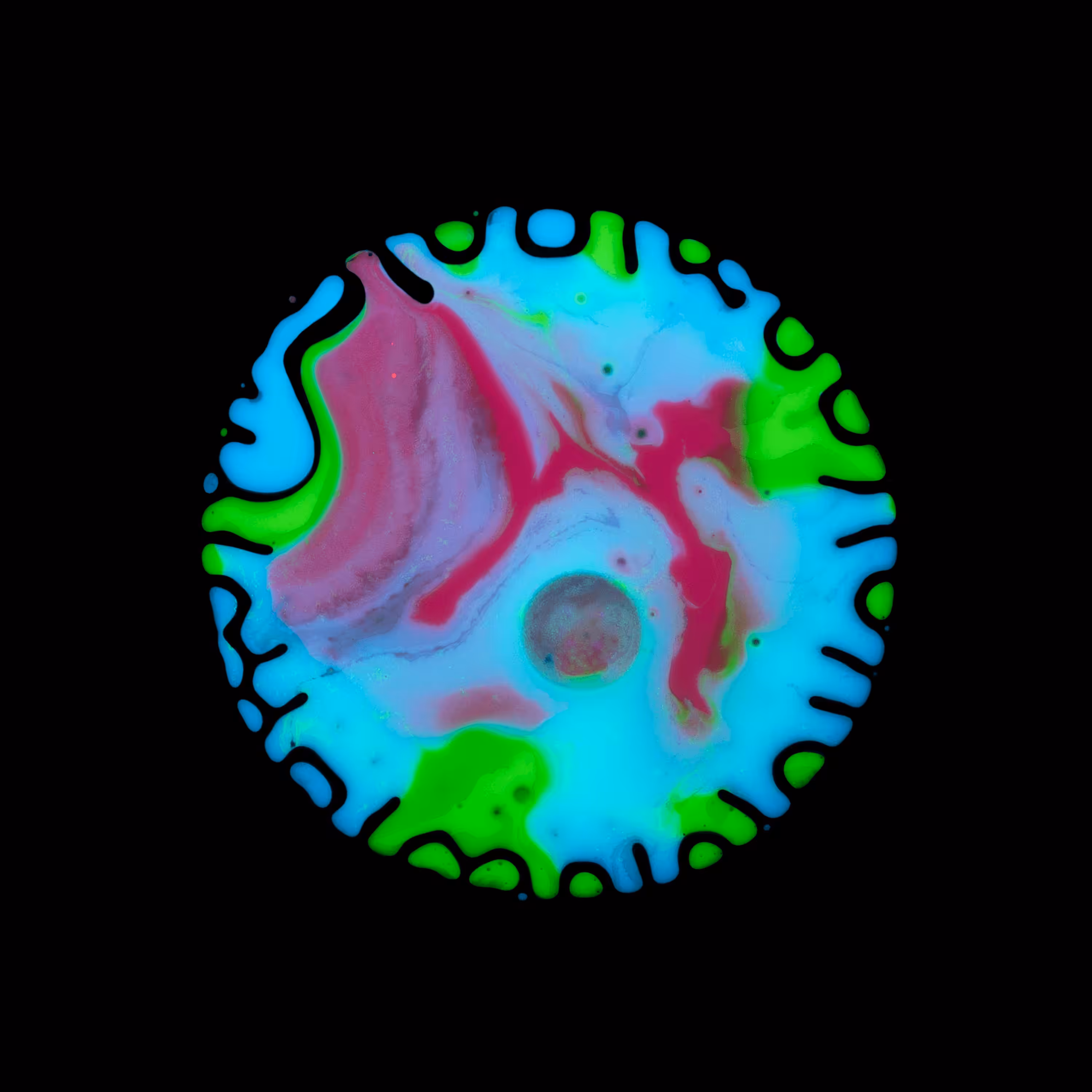 Haematopoiesis #22