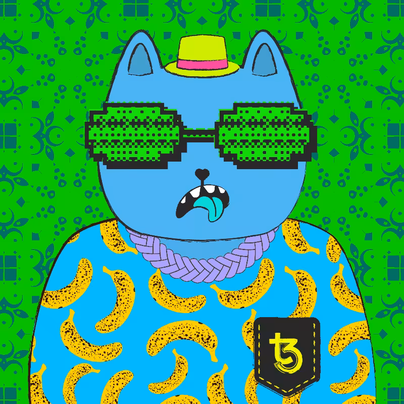 hash cats – genesis #507