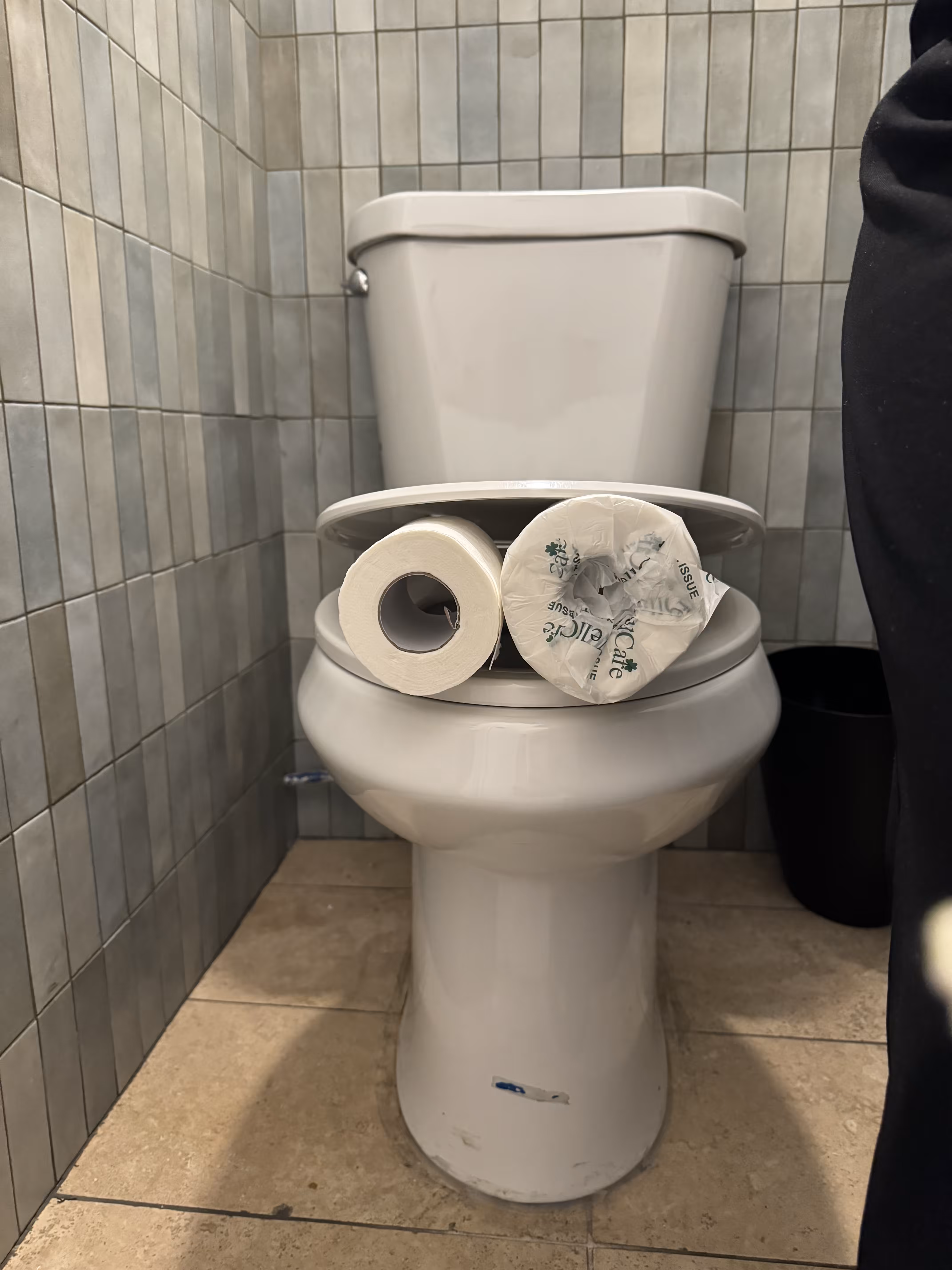 Pepe Toilets NYC #25
