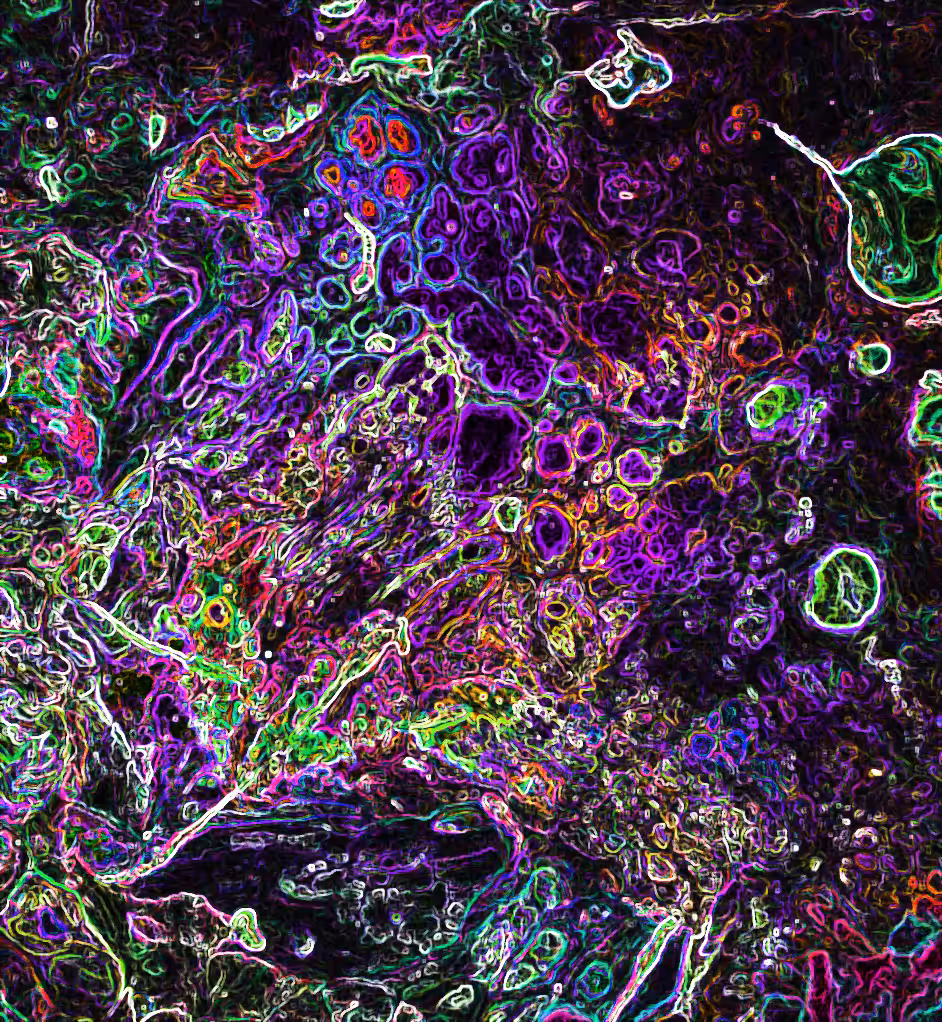 Petri Purple   @ArtByLeClaireD1