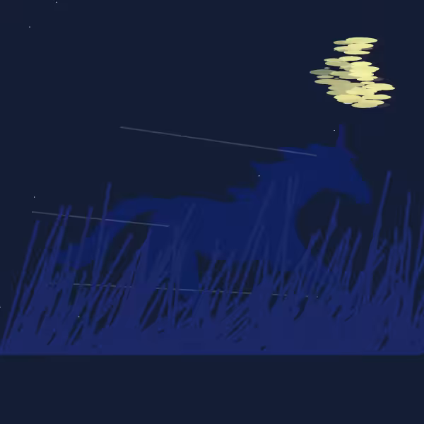 Run.Unicorn.ning  #1