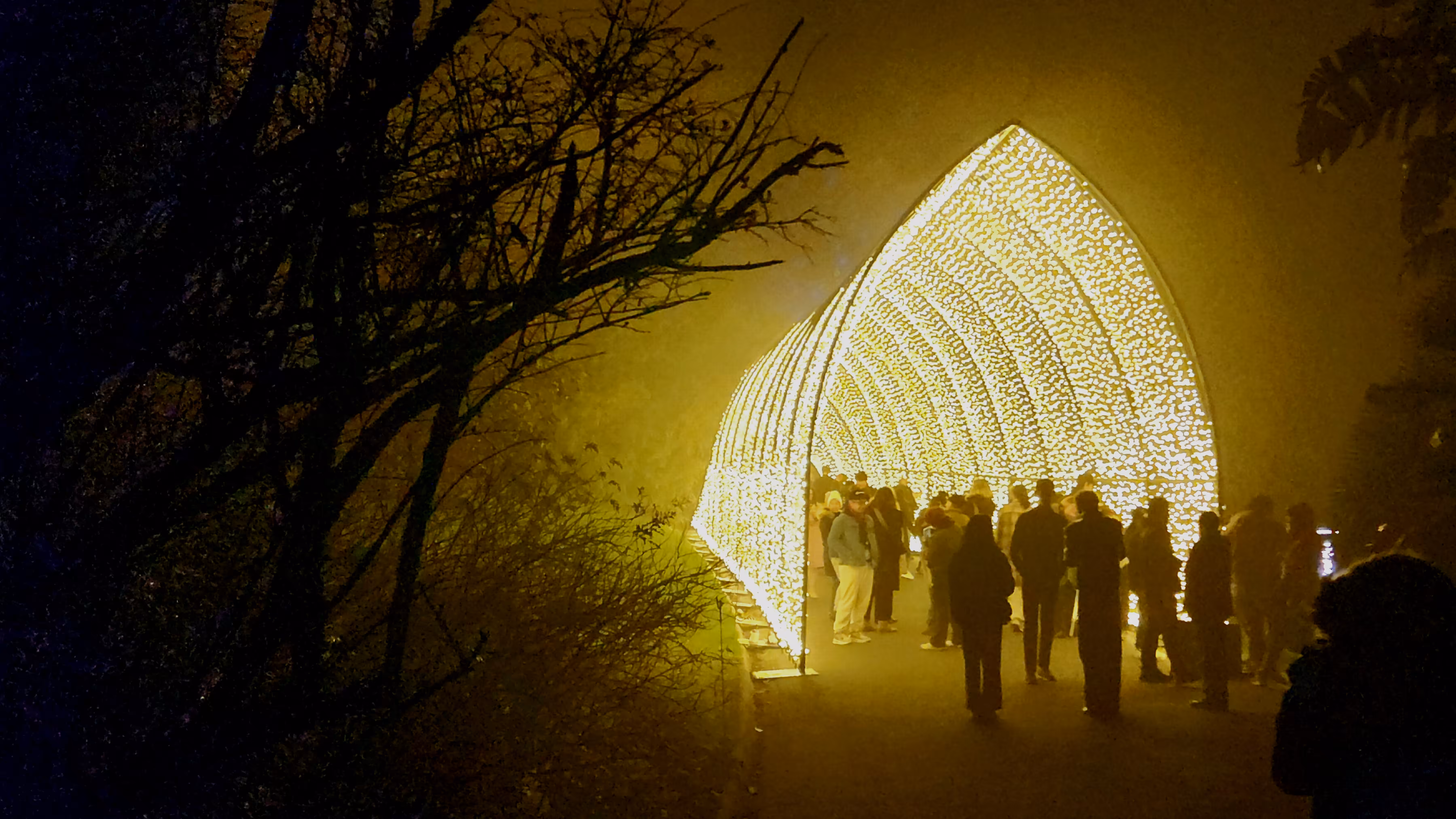 Lightscape  - the golden tunnel #1