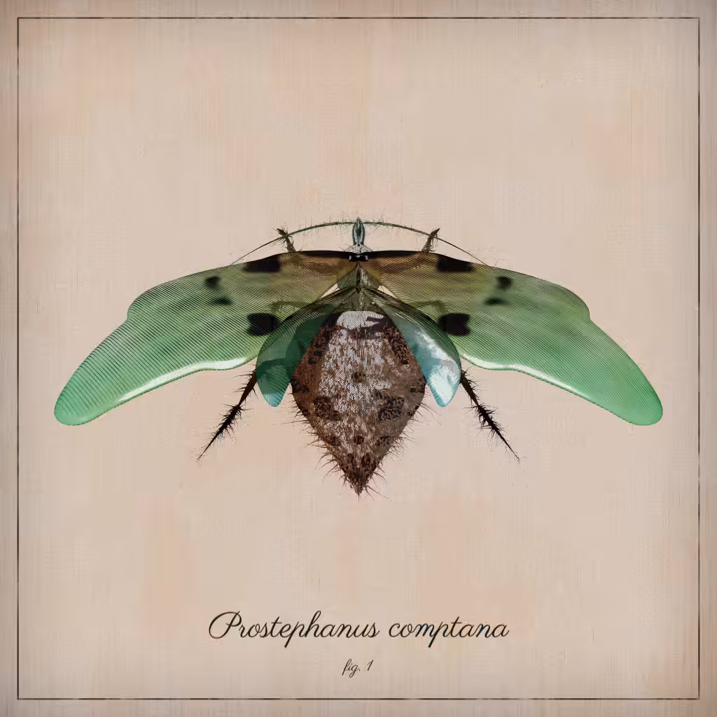 ProcGen Entomology #170