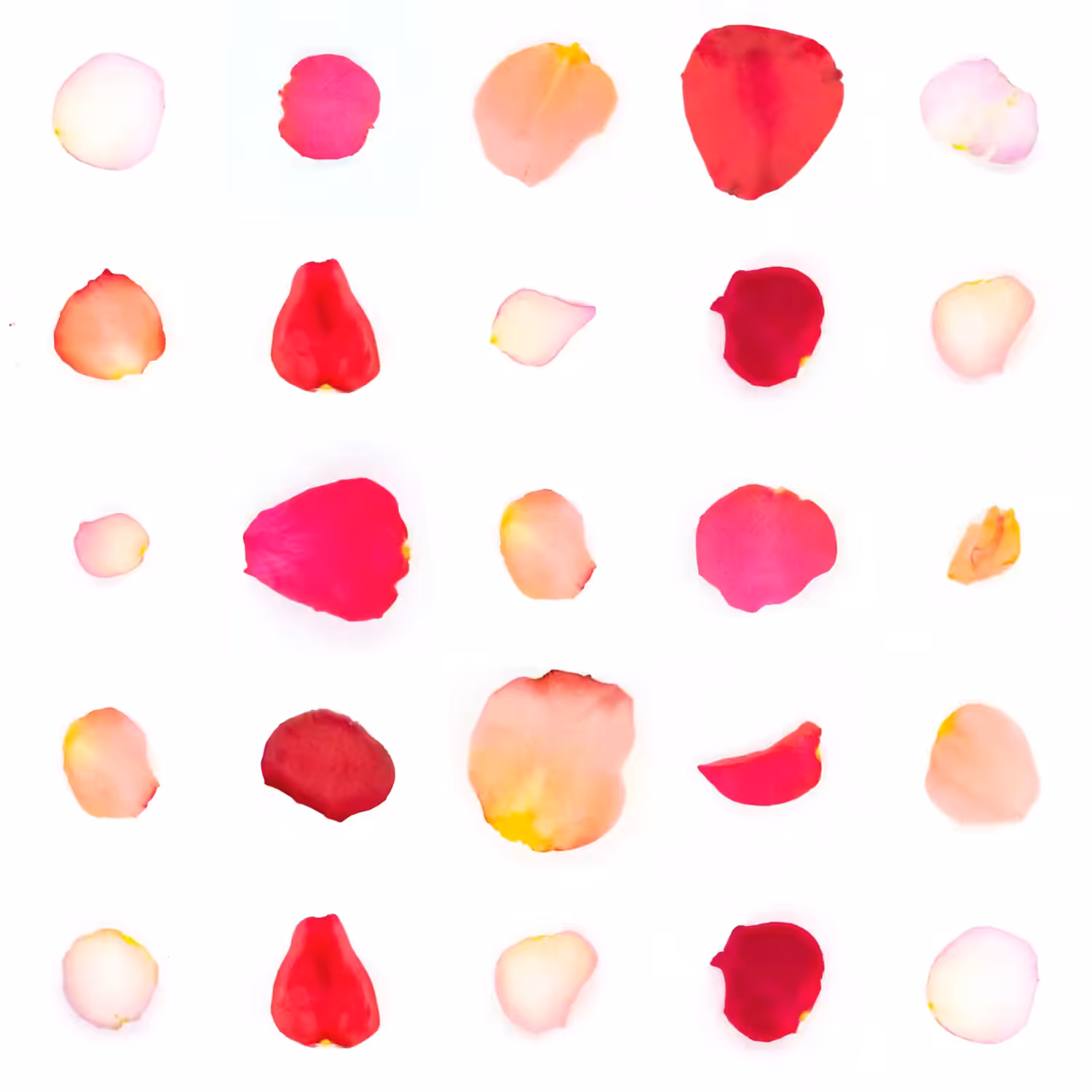 Infinite Petals 5x5#20655