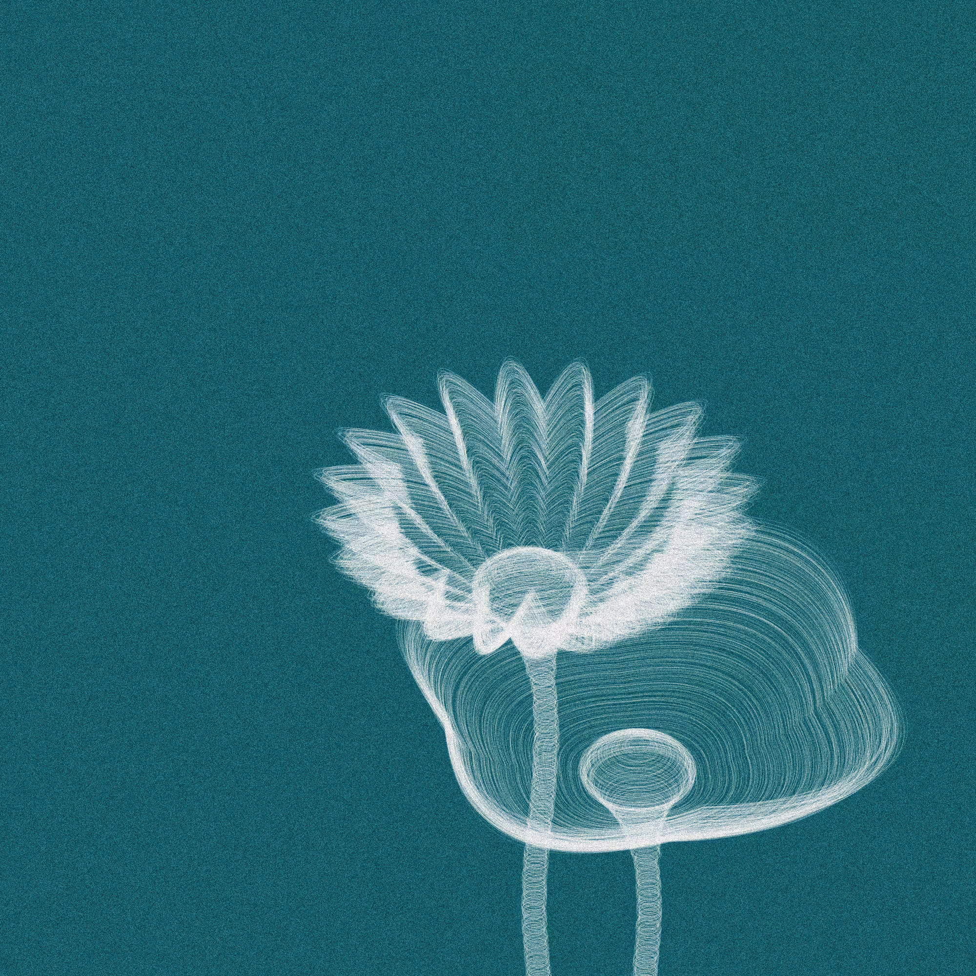 Code Flowers #29
