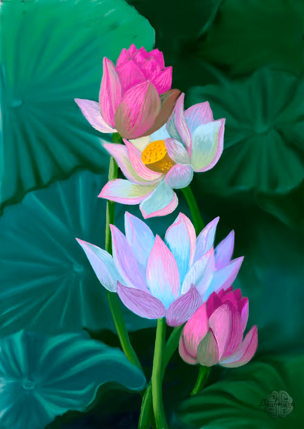 Lotuses