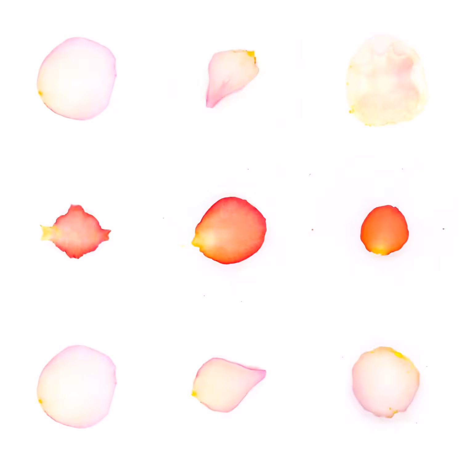 Infinite Petals 3x3#3912