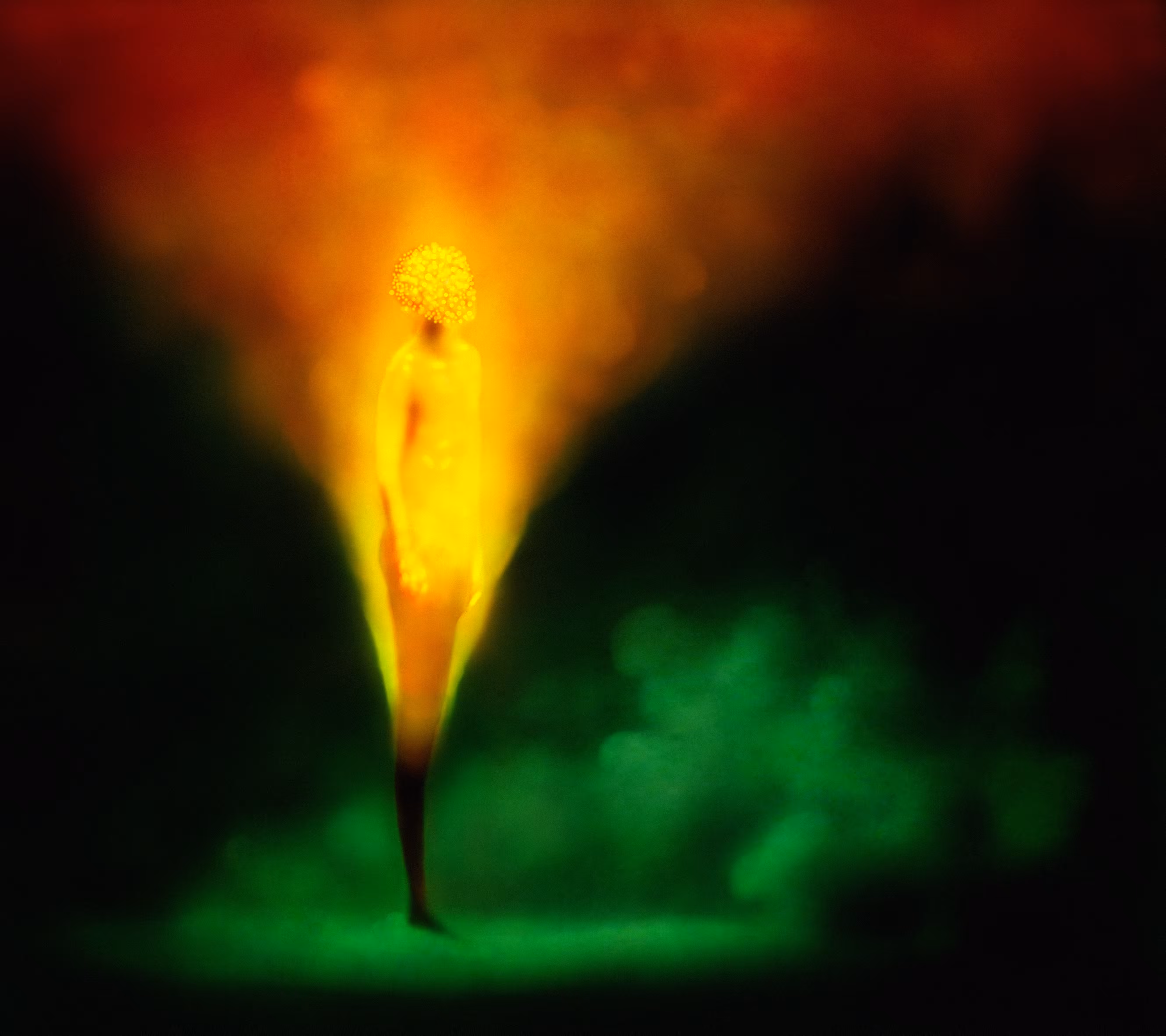 Untitled or The Flame | From Darshan Serie