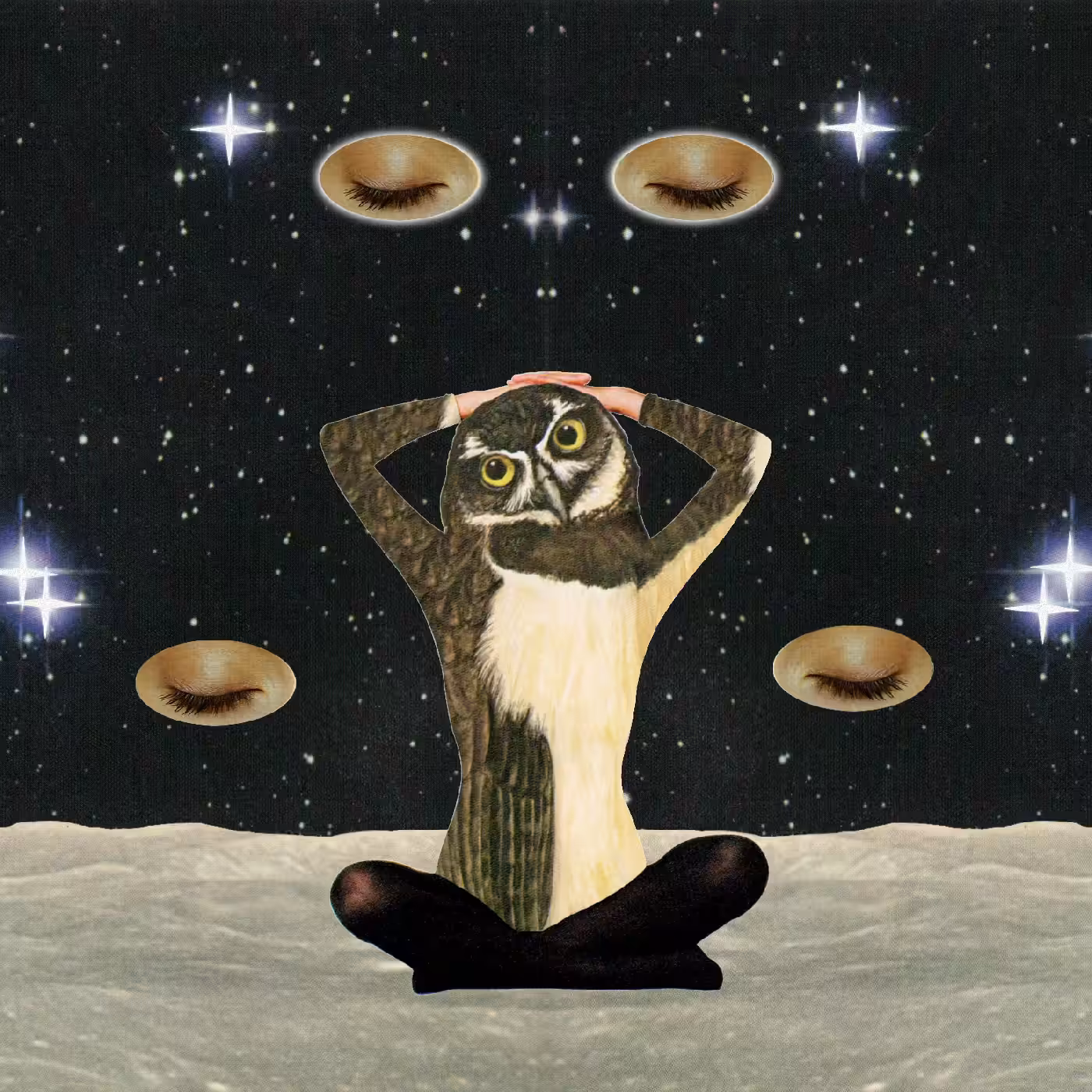 Night Owl