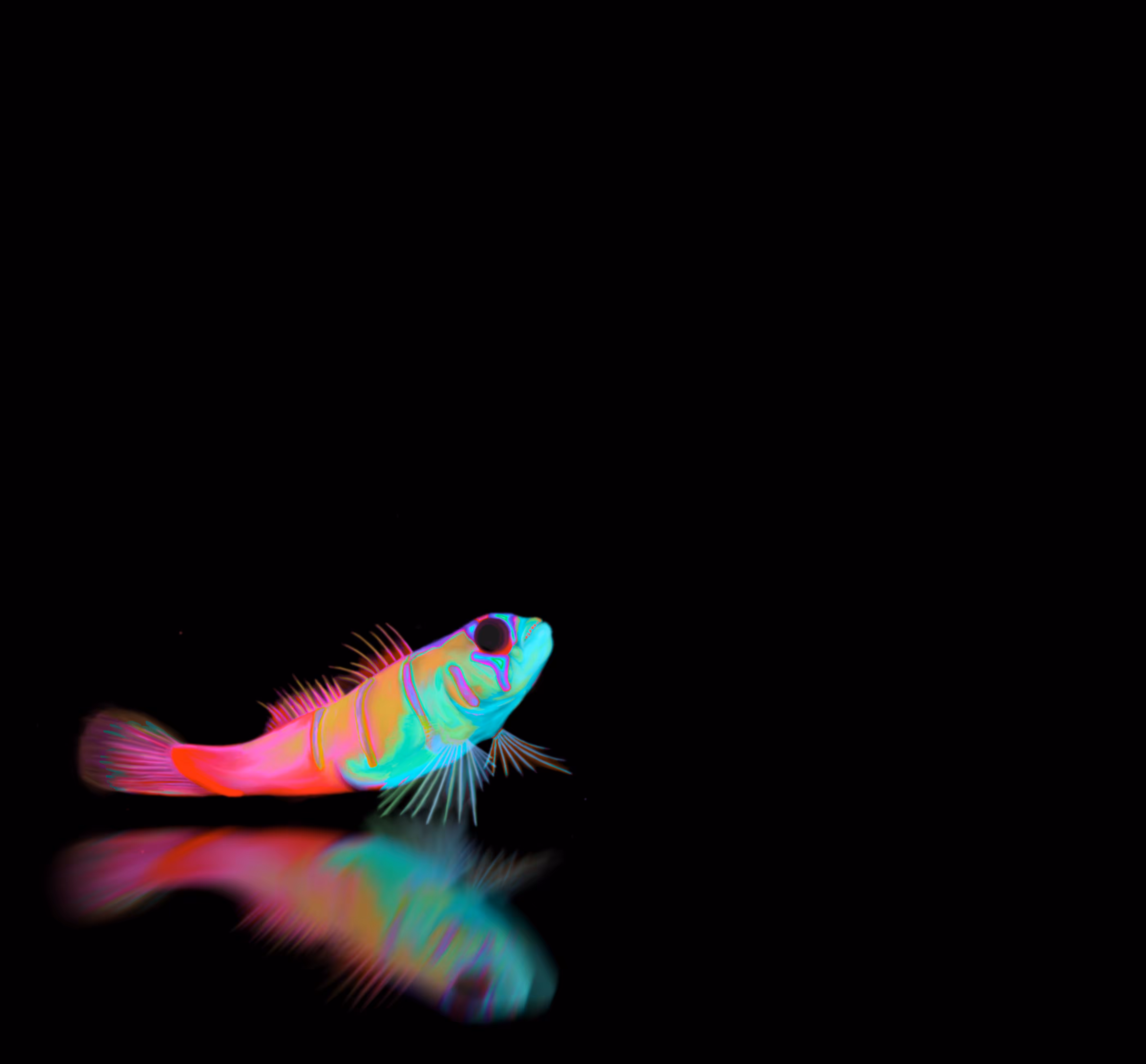 The Last Goby