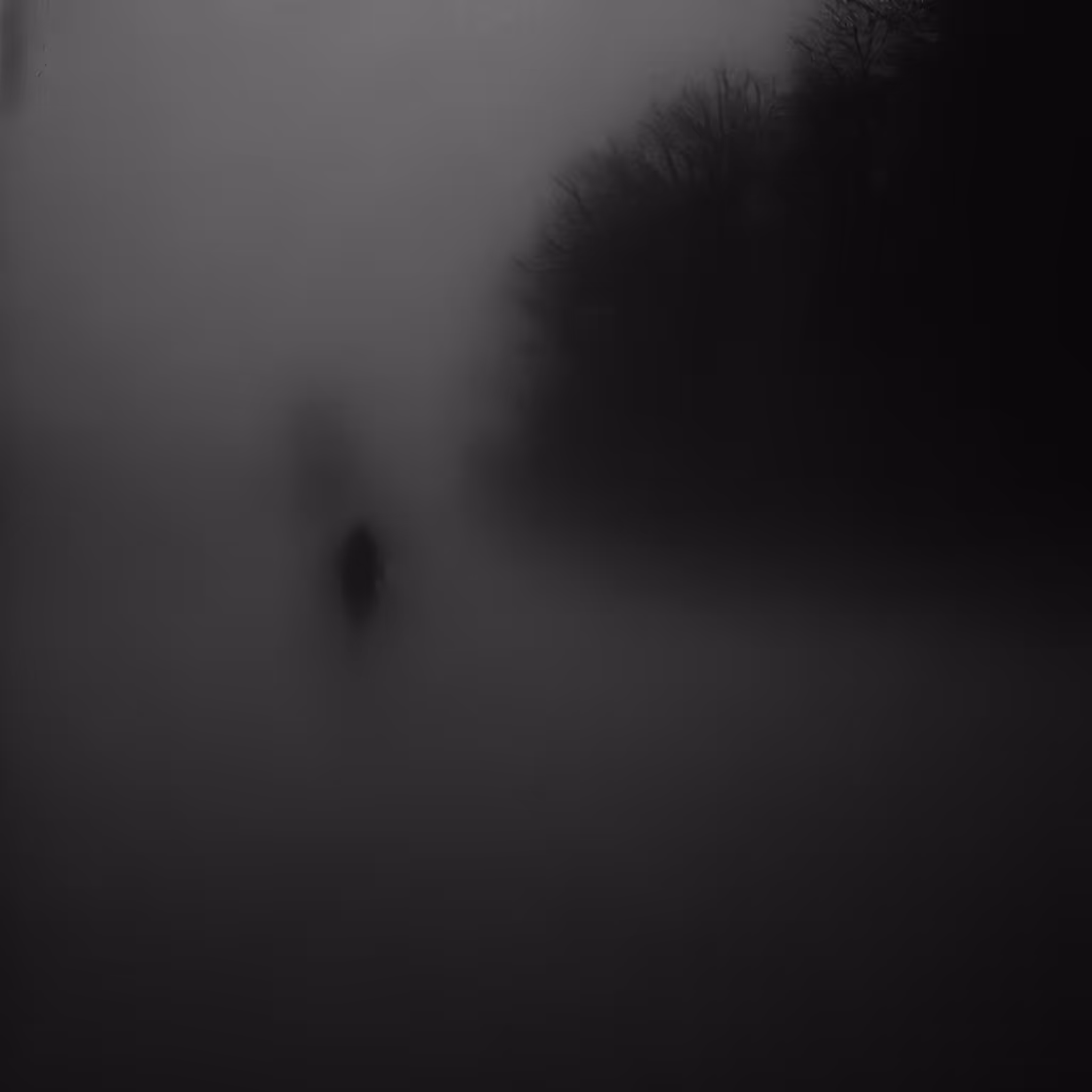 Night Traveling