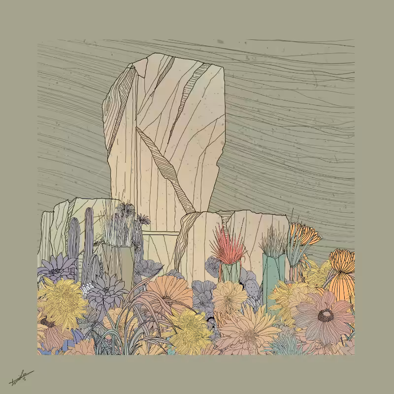 Garden of Lines #Rocks_Blooms #36