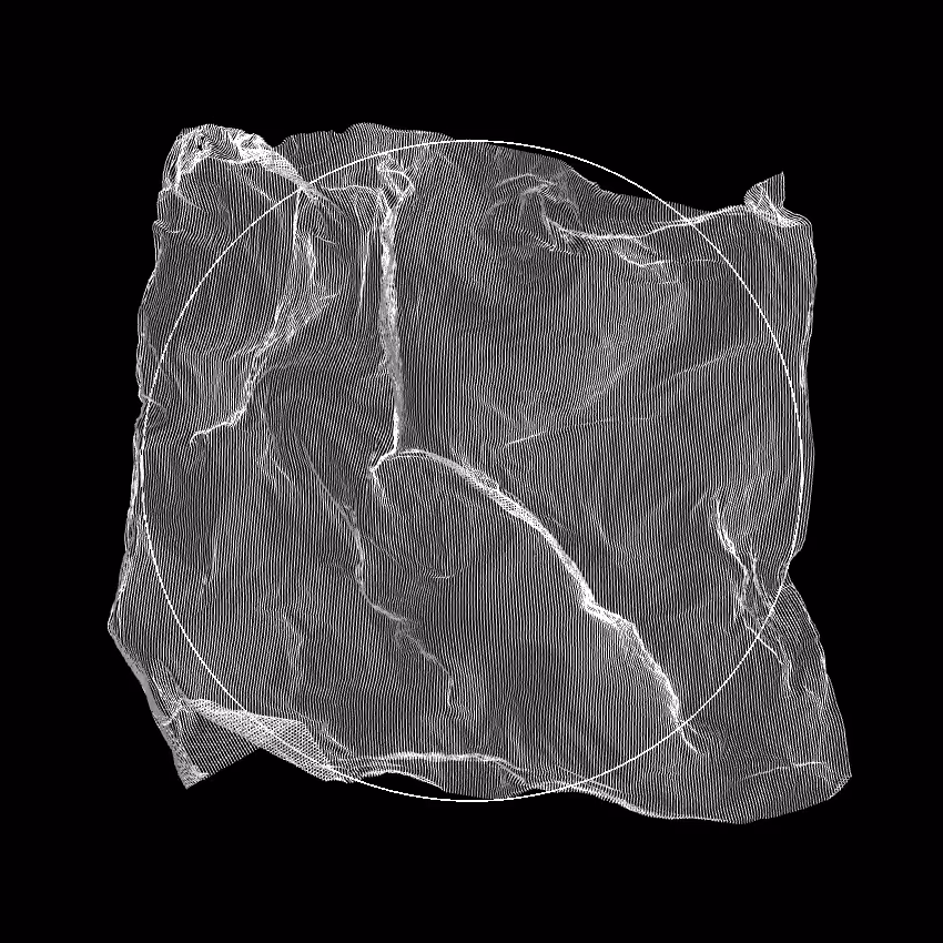 Fibril #486