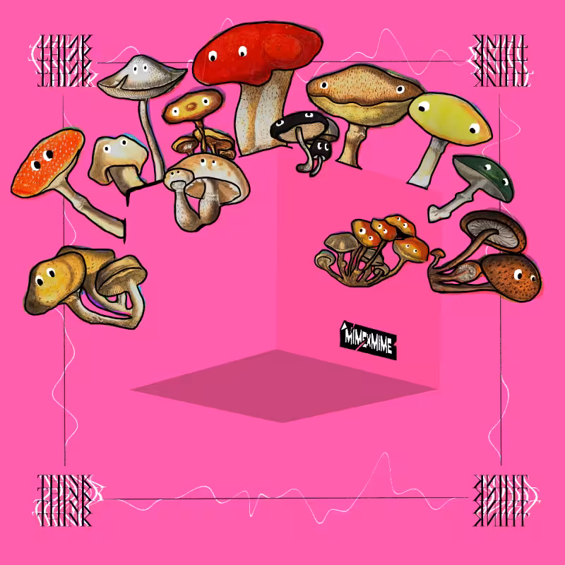 Invisible Box SE01 #31