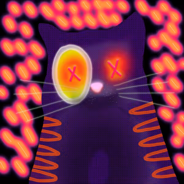 Quantum Cats #1093