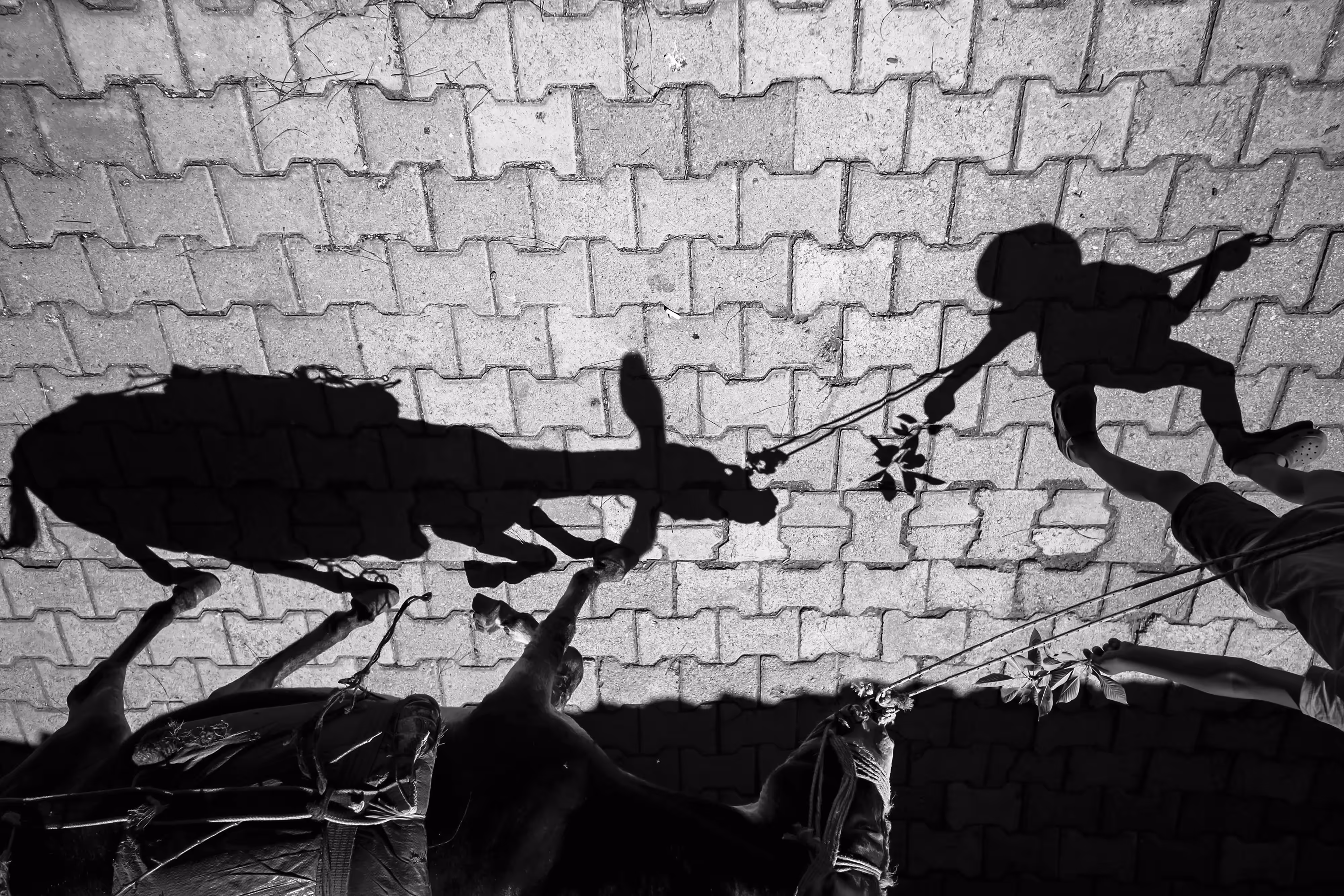 my black and white soul in the streets-3