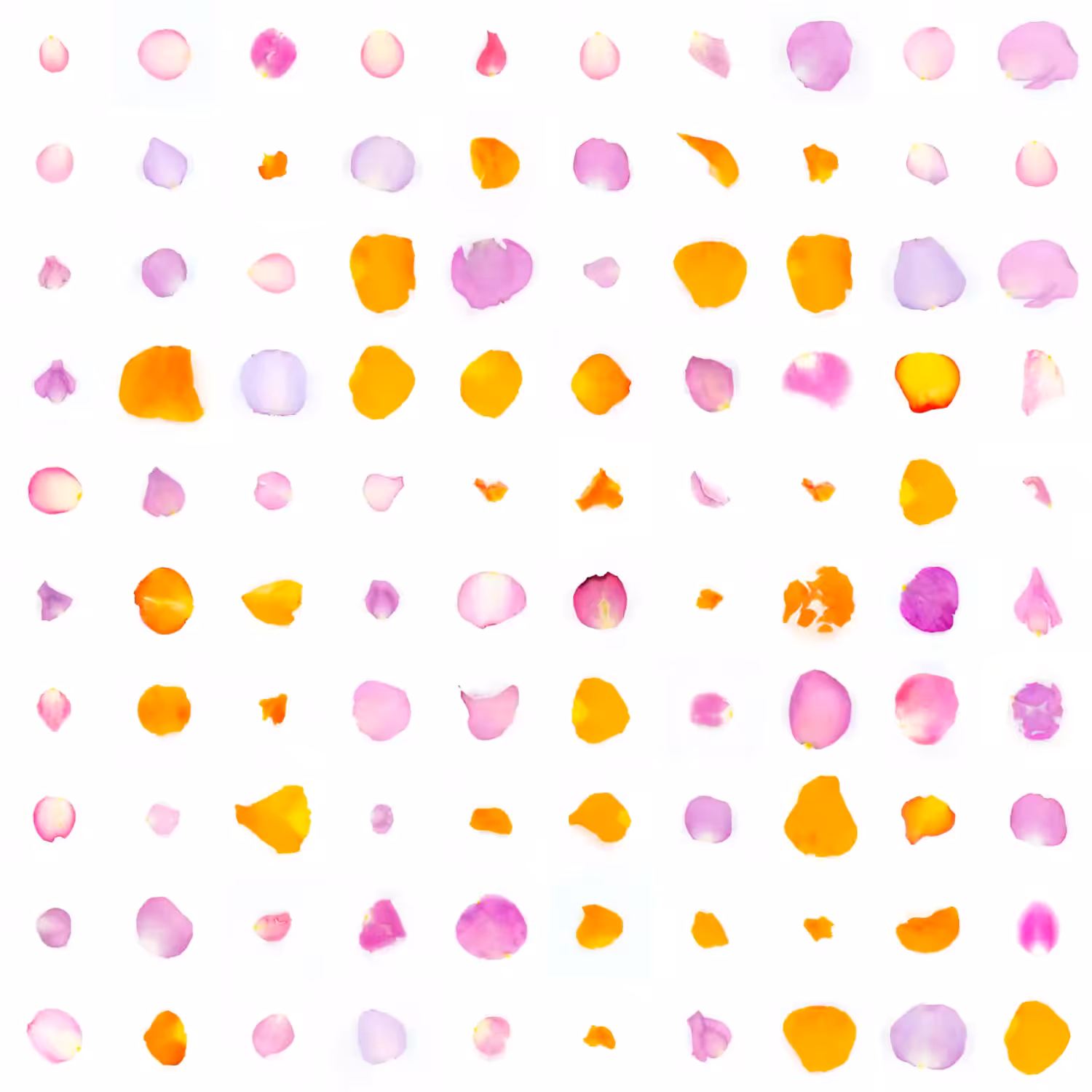 Infinite Petals 10x10#10145