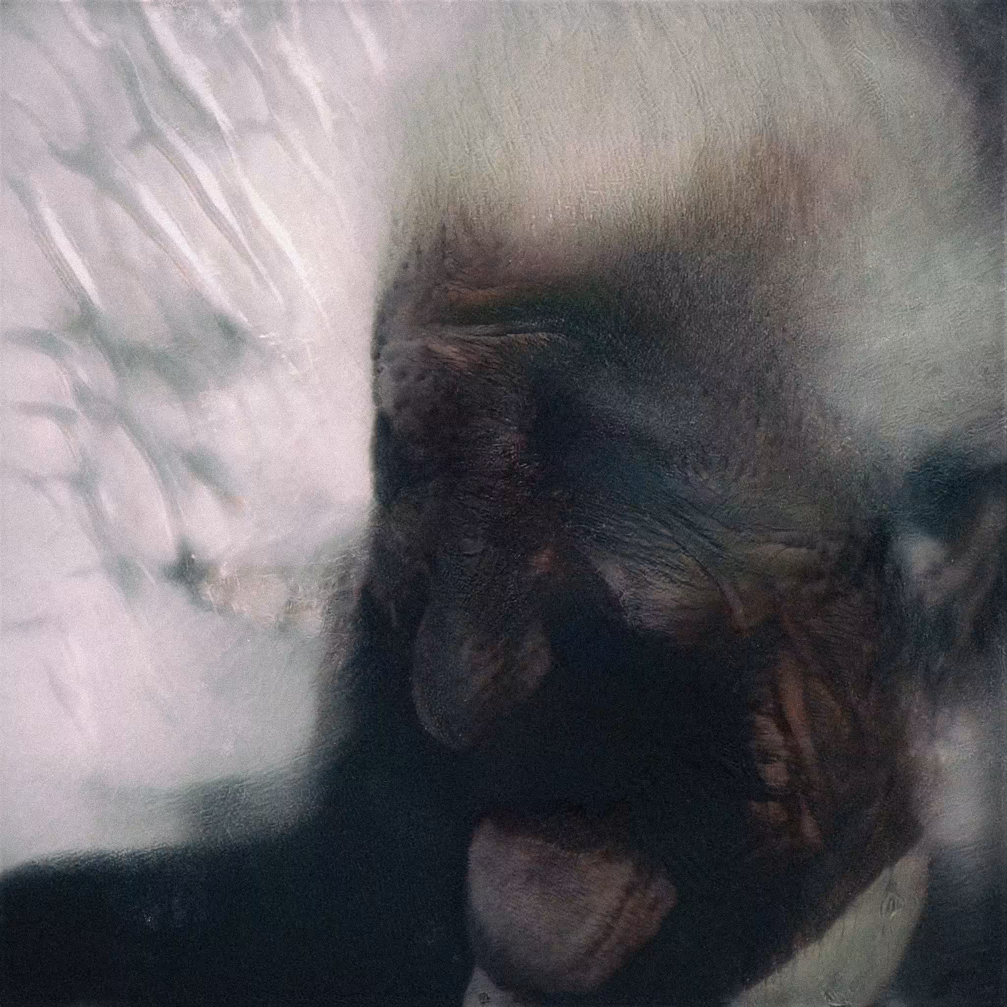 Webgan portrait #21