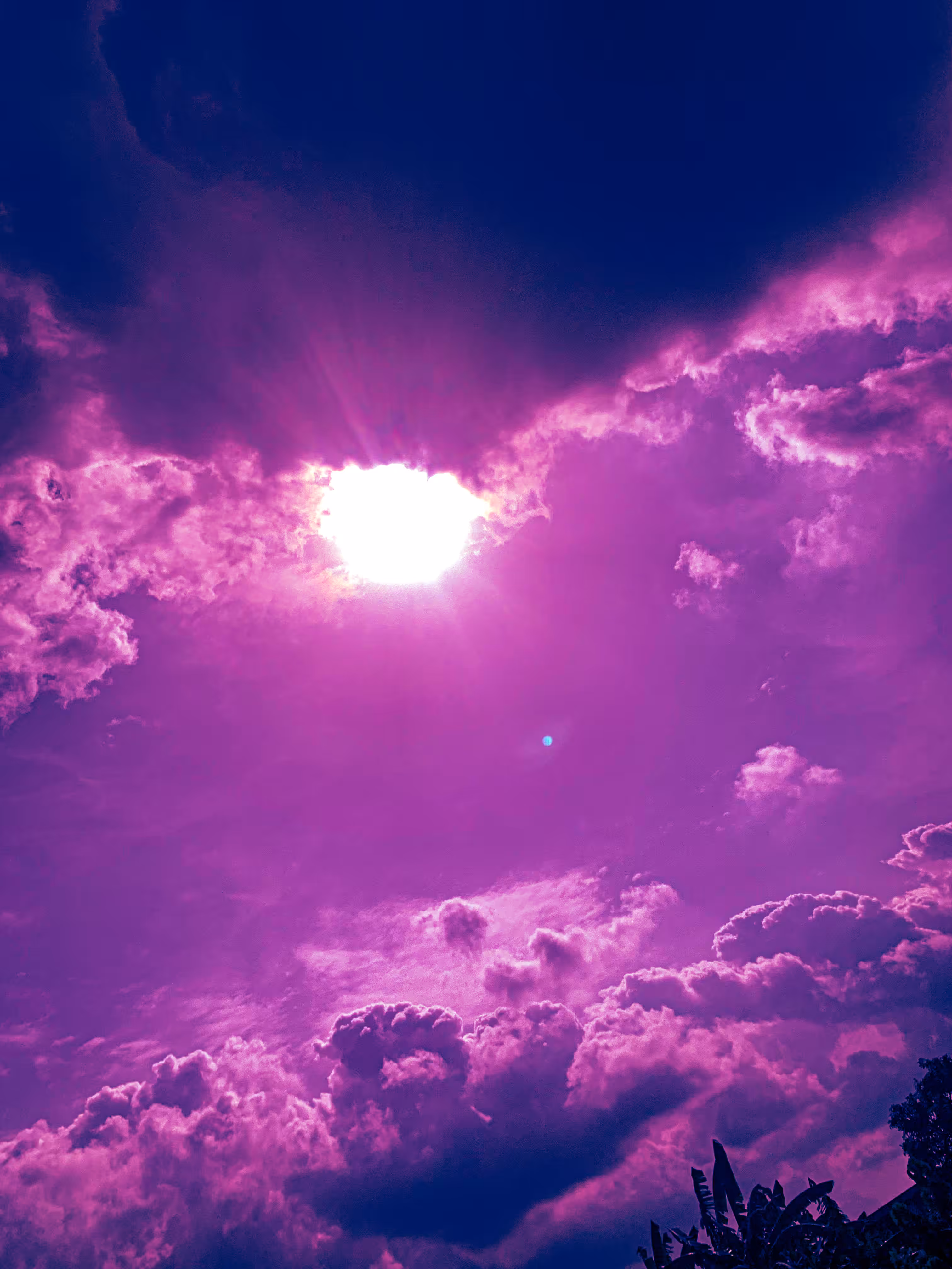 Sun blare