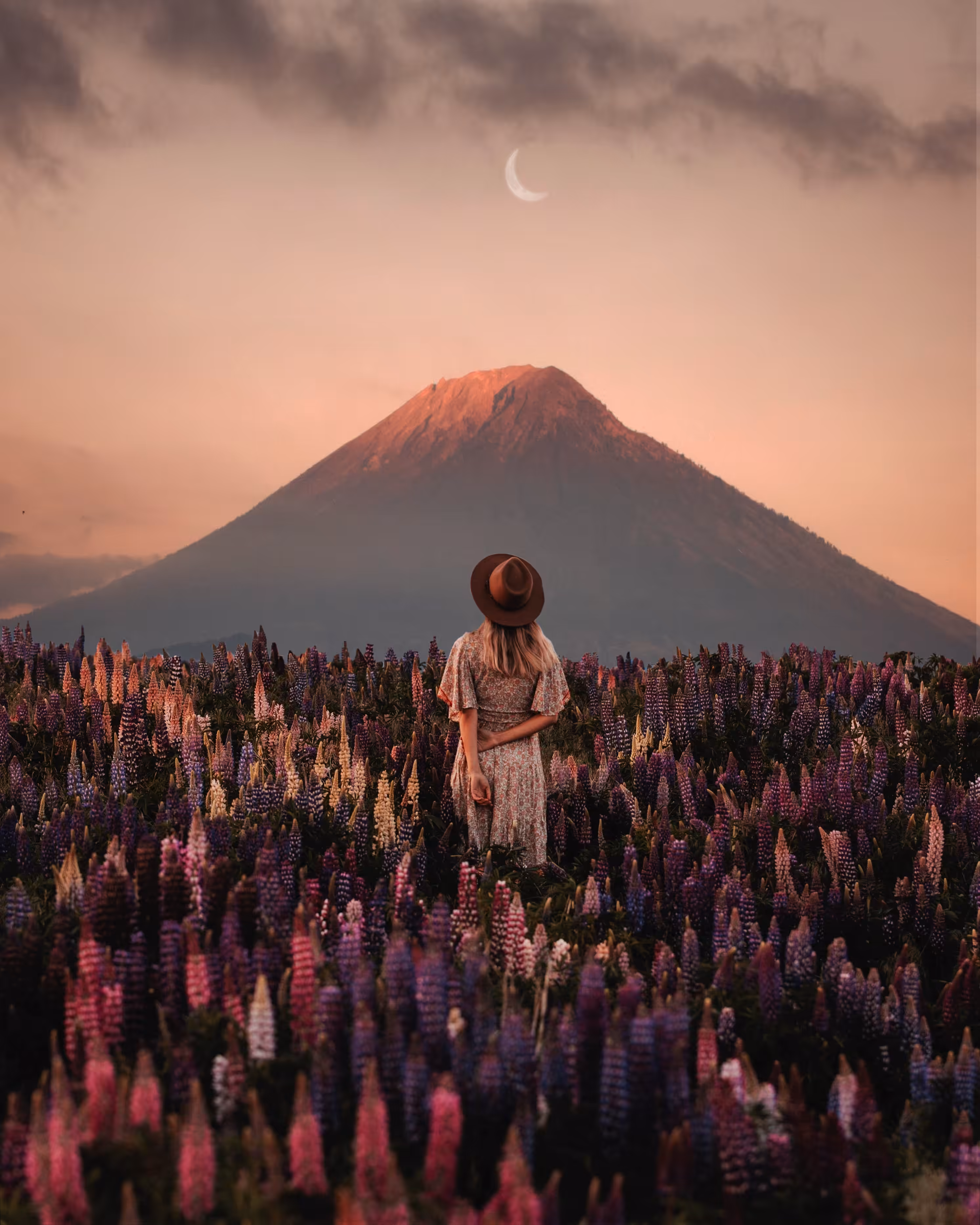 Solace