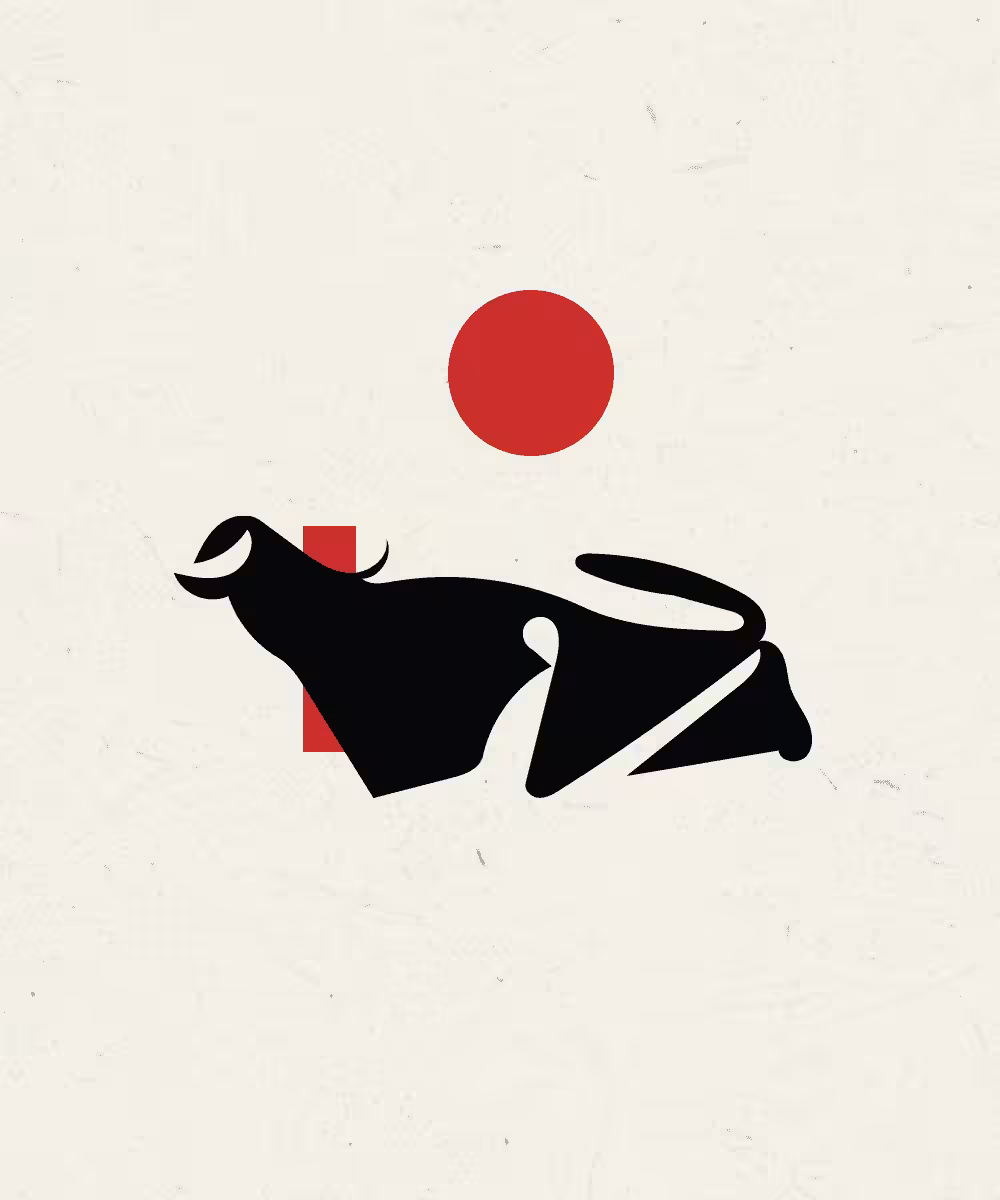 Matador
