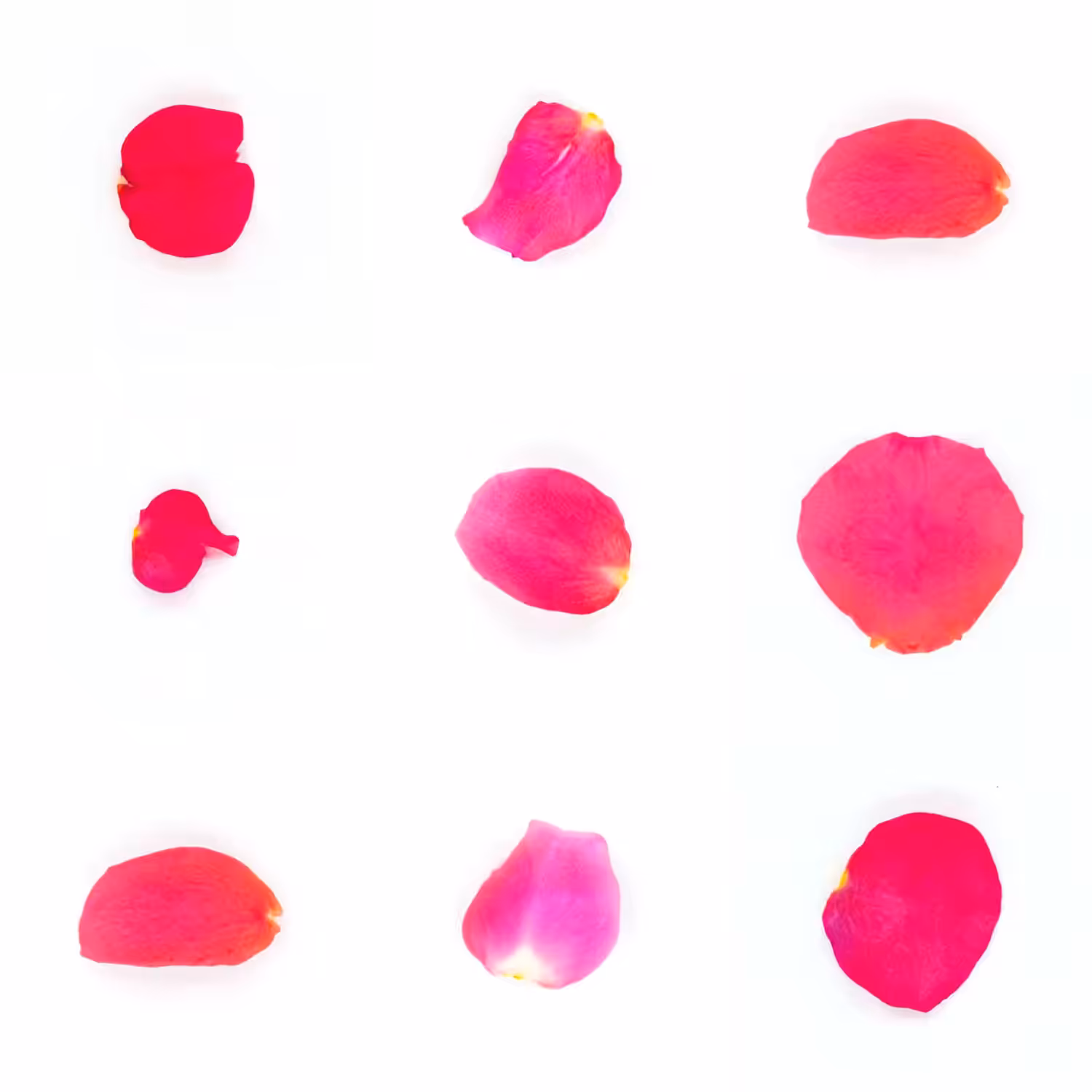 Infinite Petals 3x3#2592