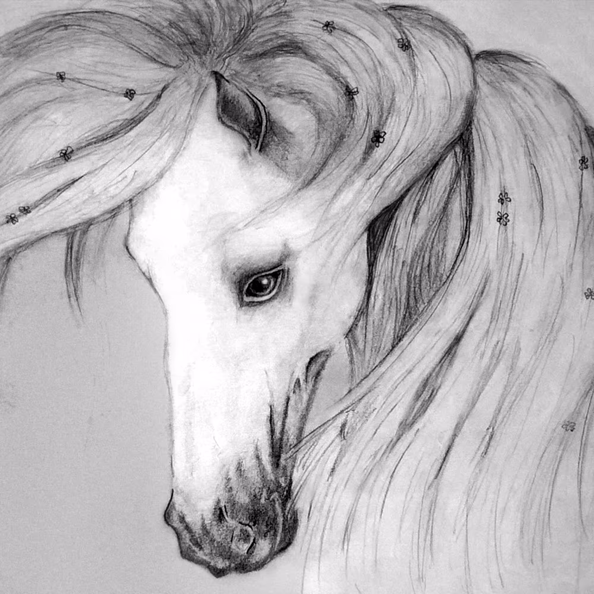 Open Edition collection: Horse